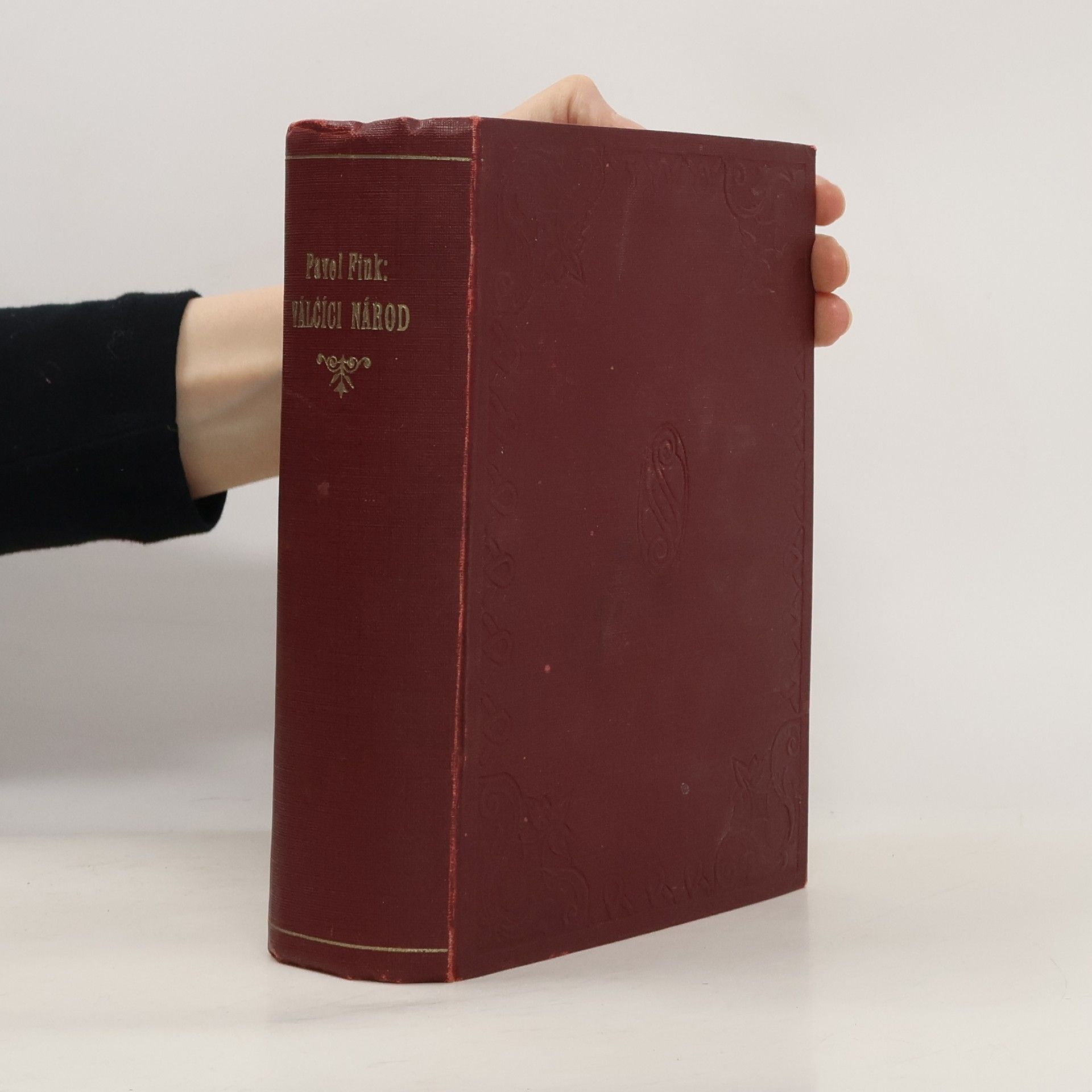 Pavel Fink Válčící národ