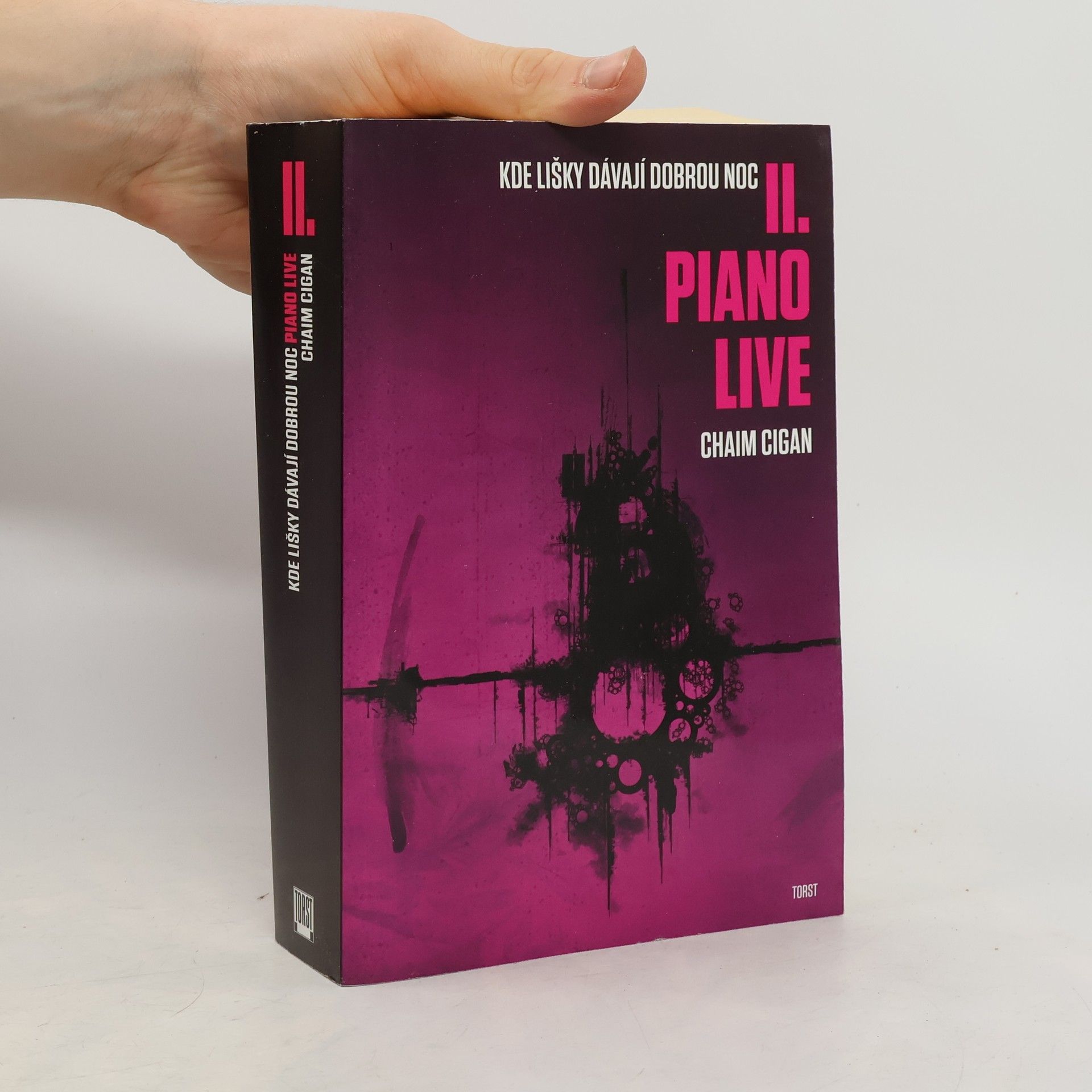 Karol Sidon Kde lišky dávají dobrou noc II. Piano live