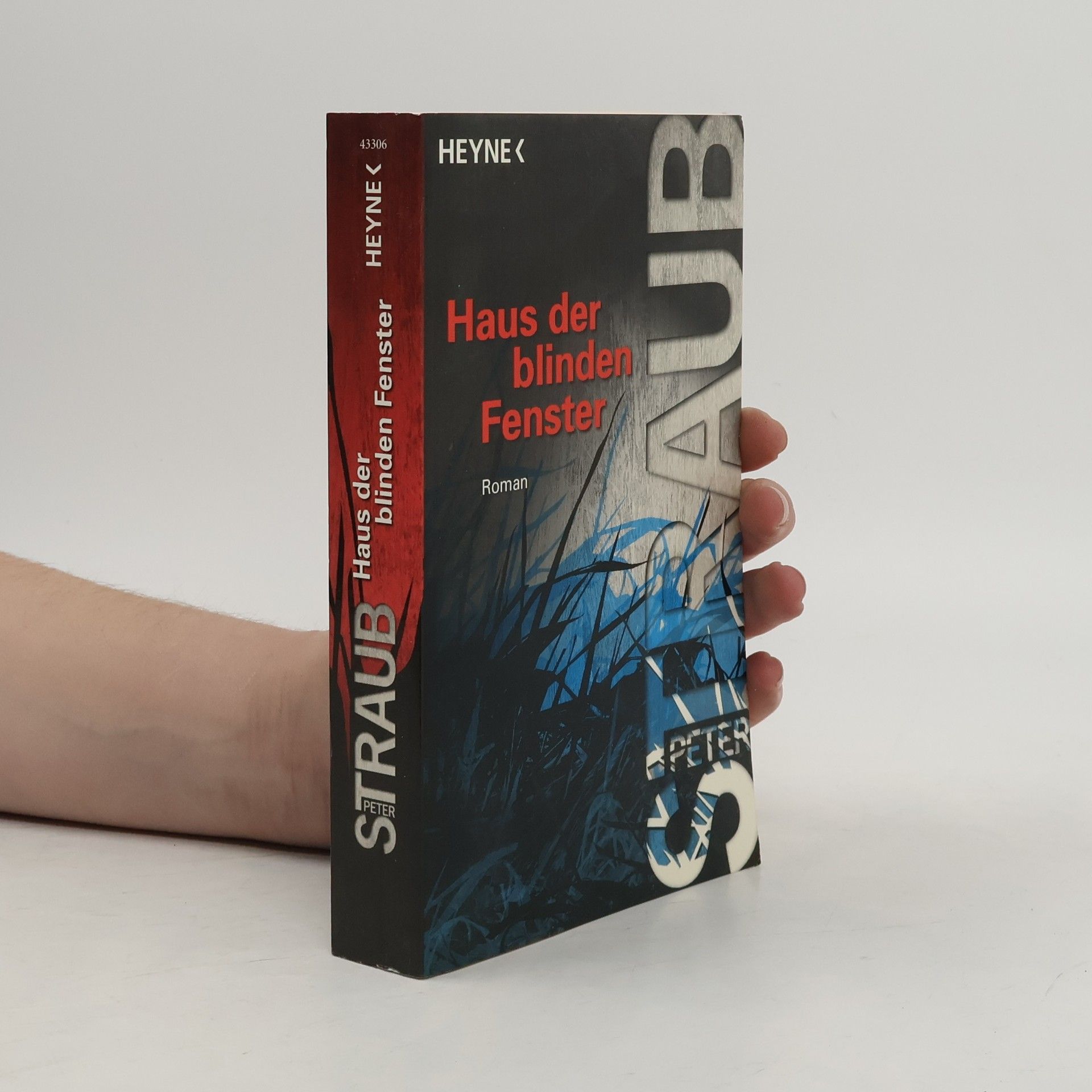 Peter Straub Haus der blinden Fenster