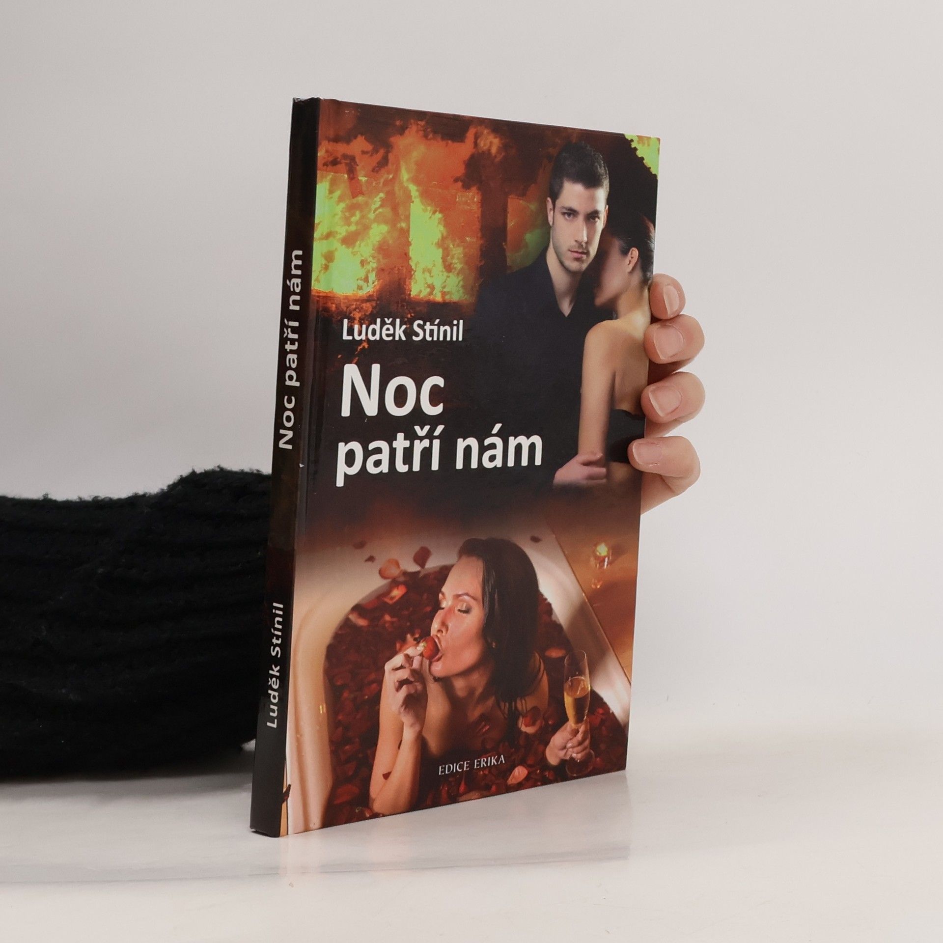 Luděk Stínil Noc patří nám