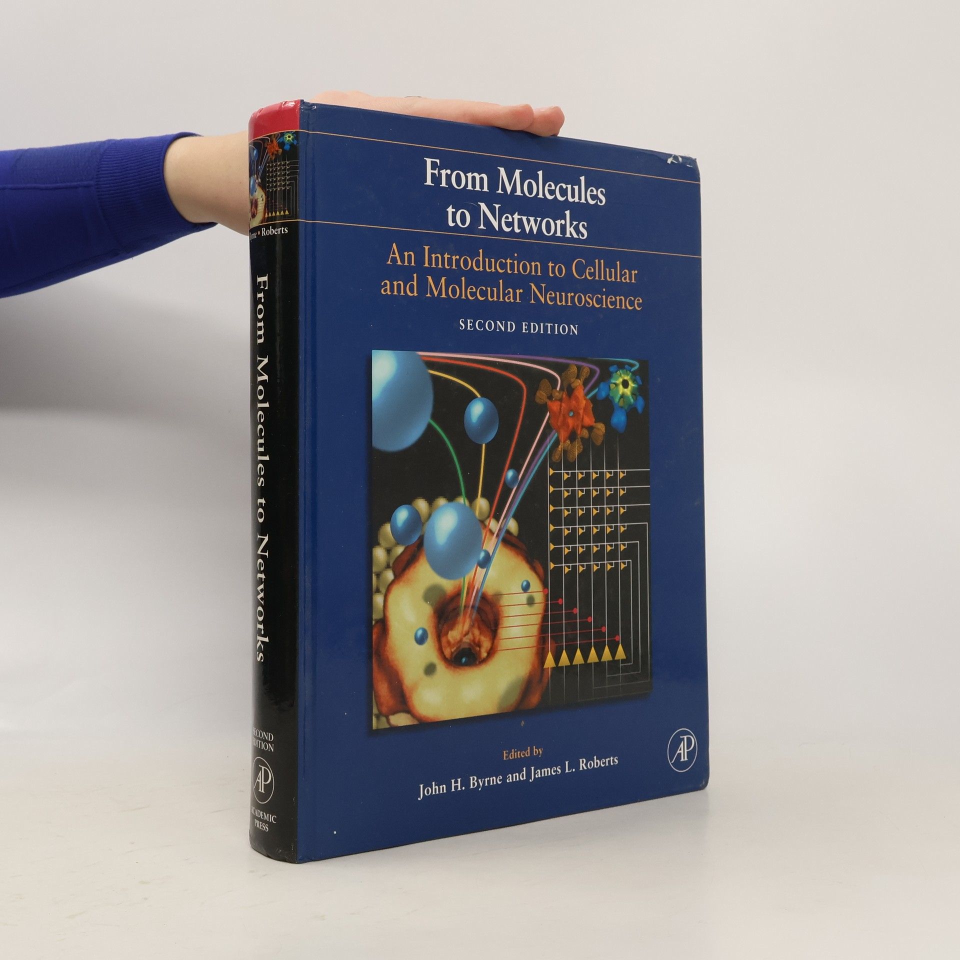 John H. Byrne From Molecules to Networks