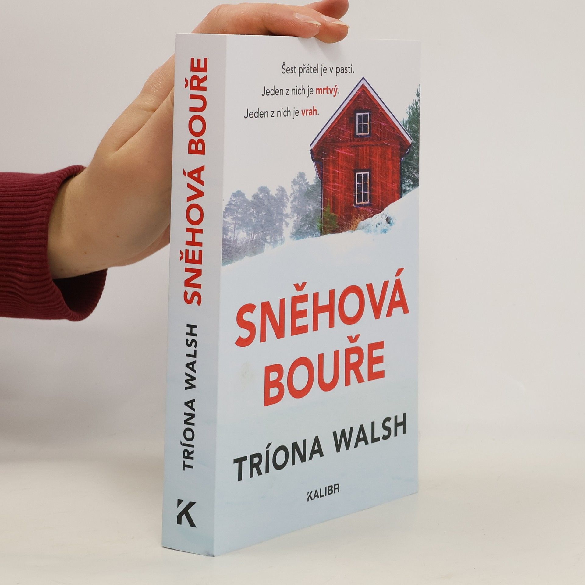 Tríona Walsh Sněhová bouře
