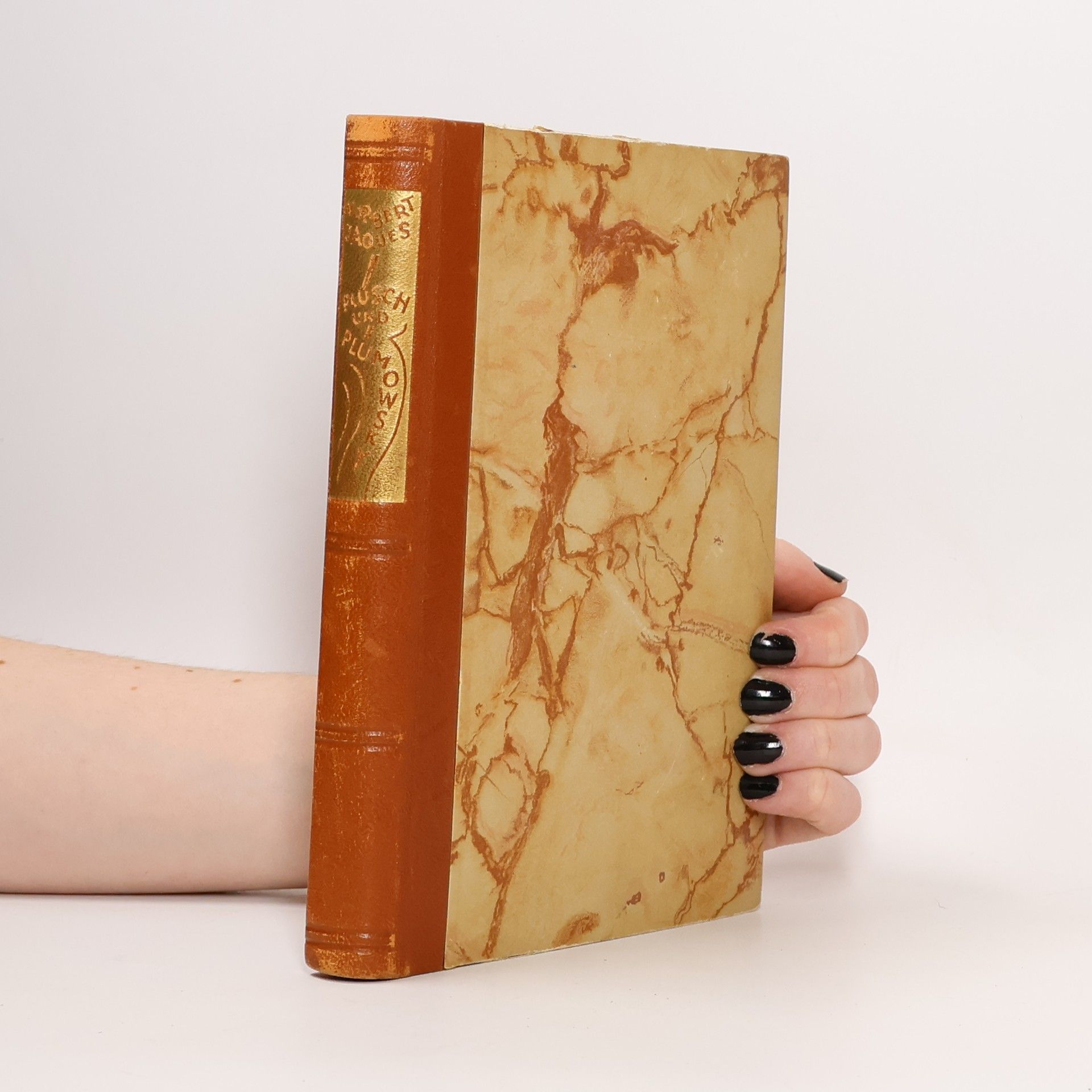 Norbert Jacques Plüsch und Plümowski