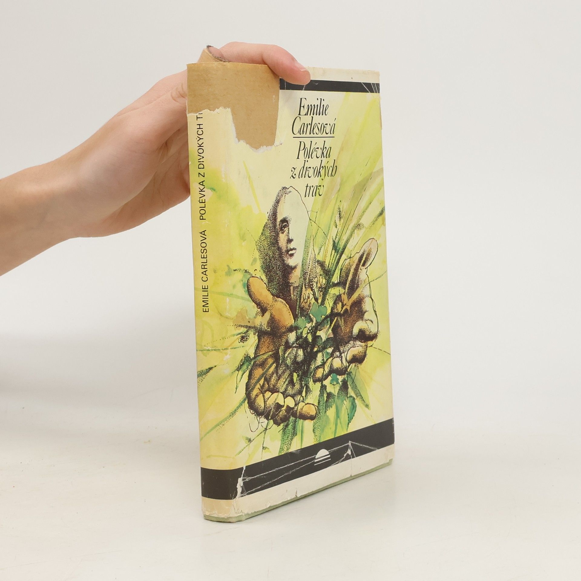 Émilie Carles Polévka z divokých trav