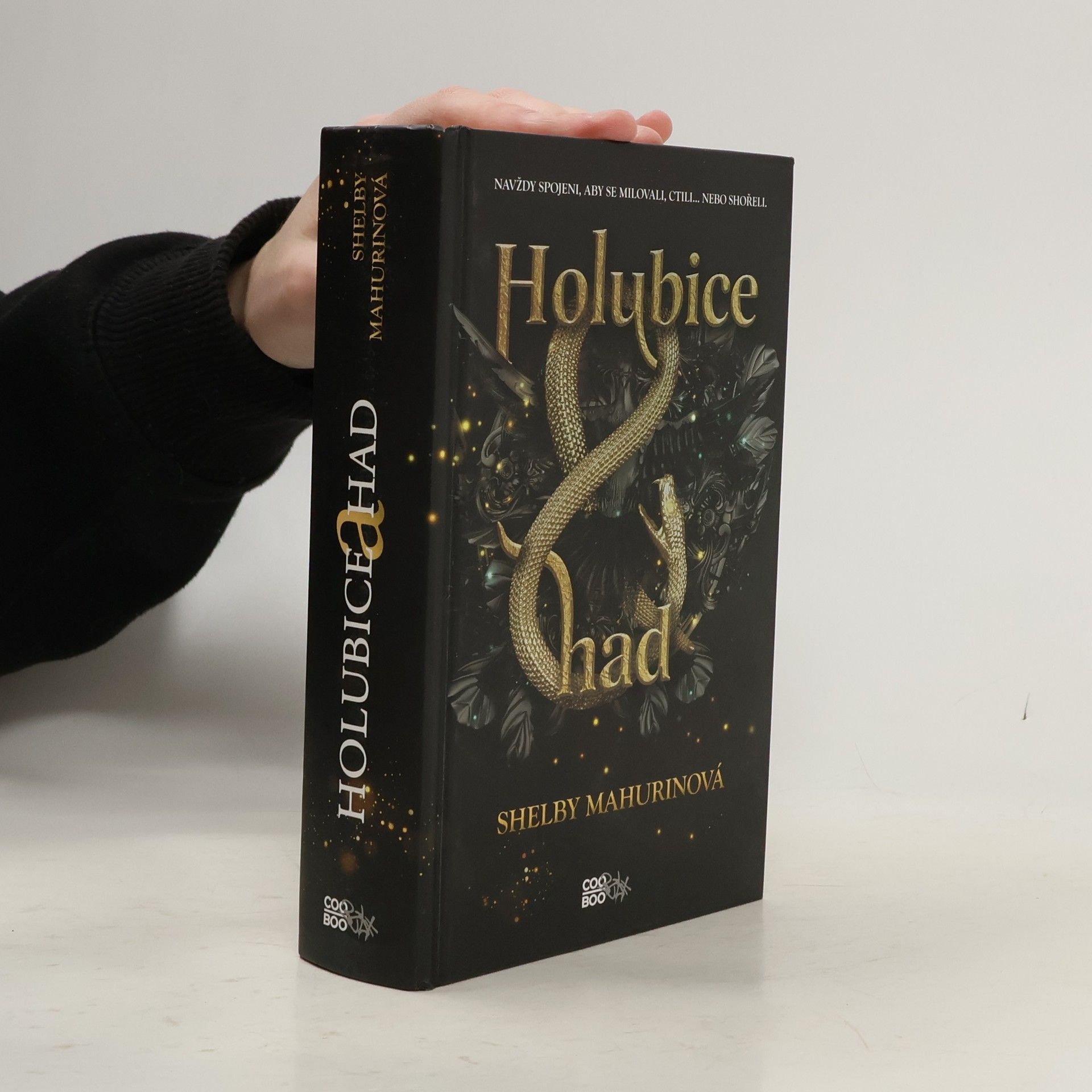 Shelby Mahurin Holubice a had