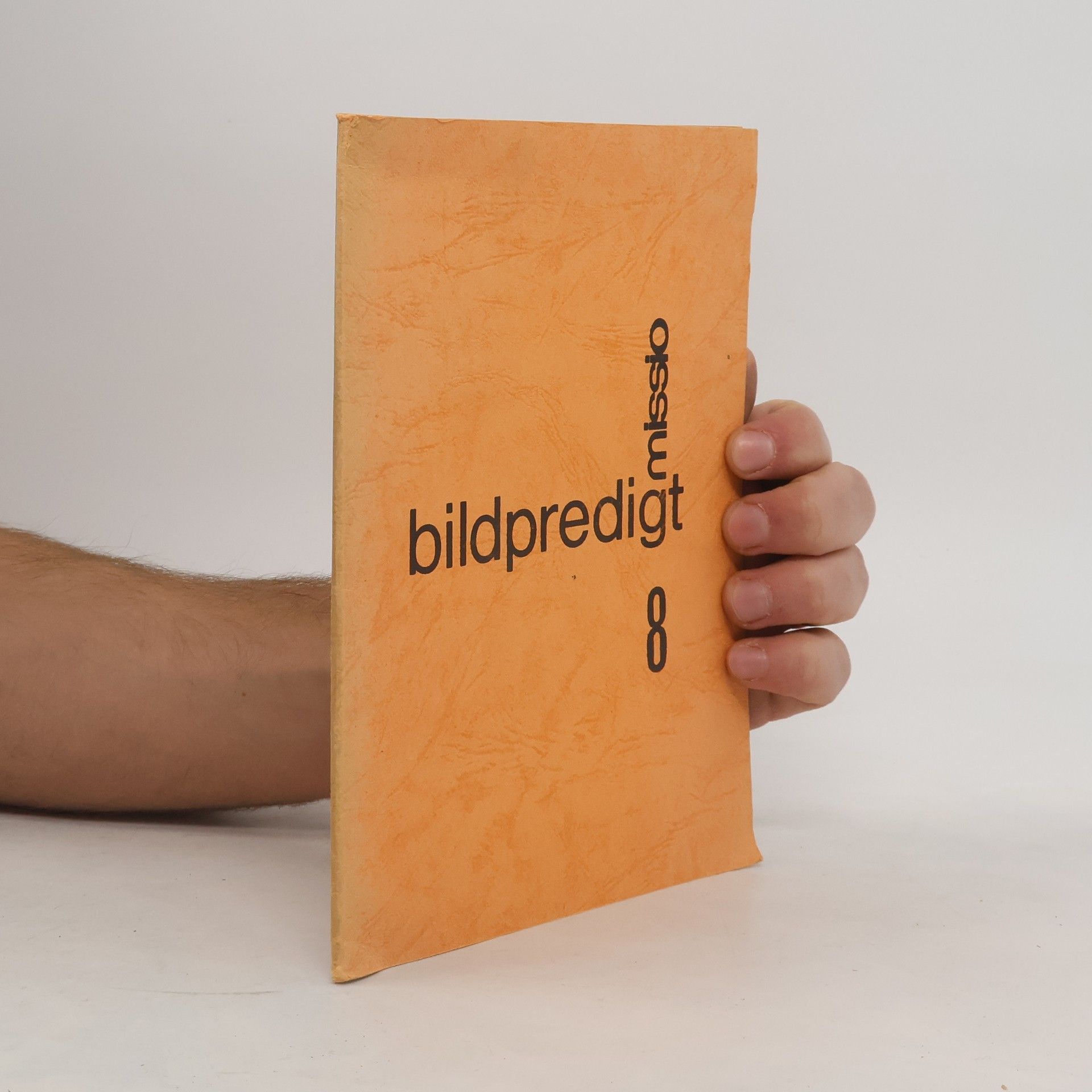 Sigmunda Schnetzer Bildpredigt 8