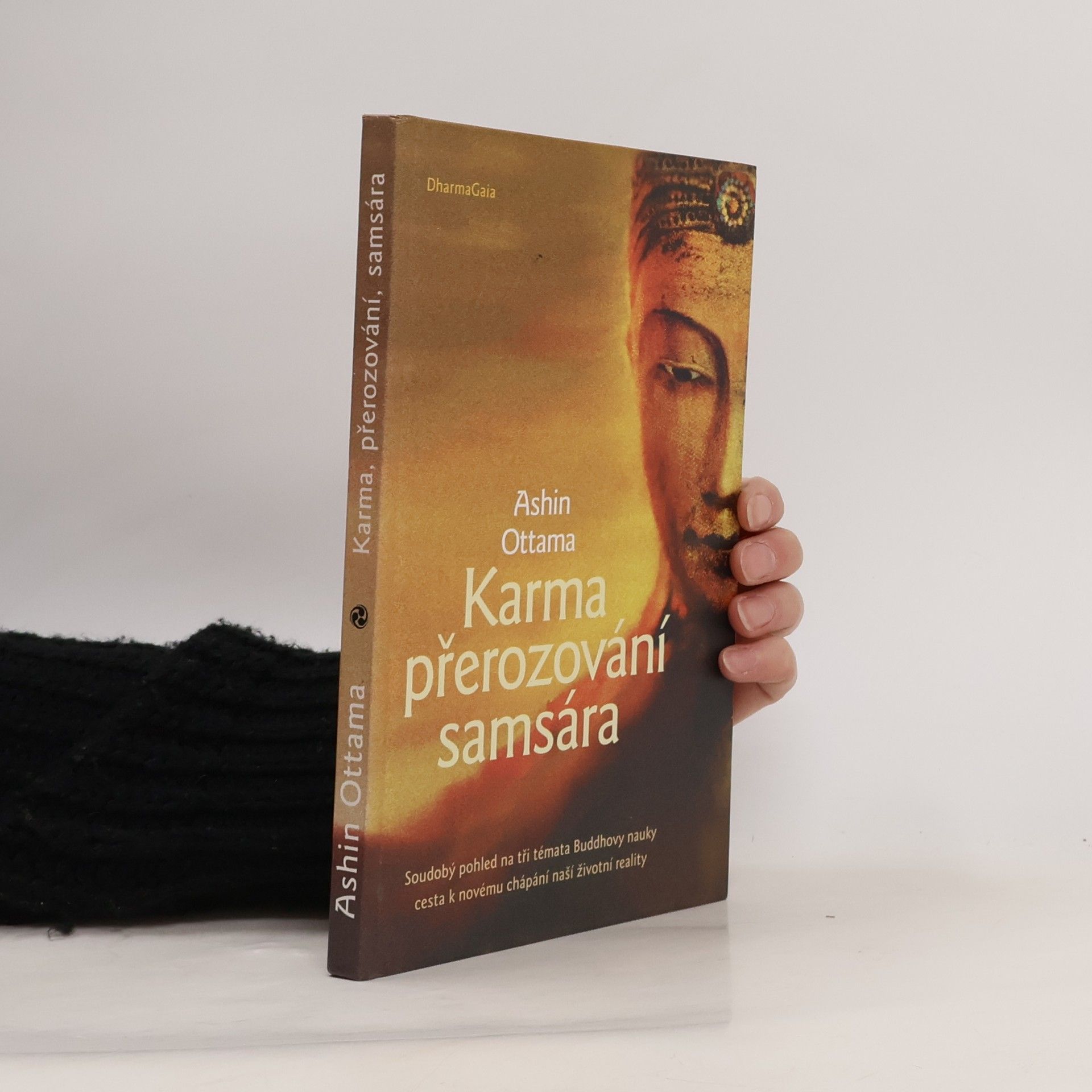 Karma, přerozování, samsára
