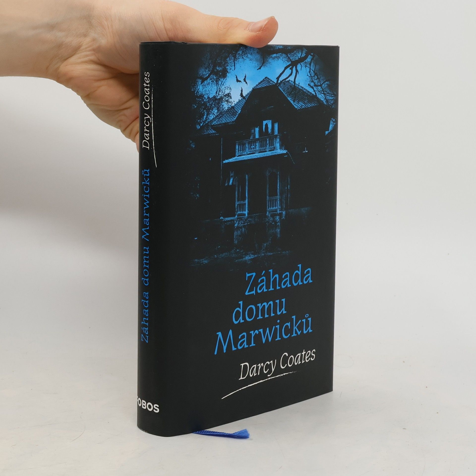 Záhada domu Marwicků