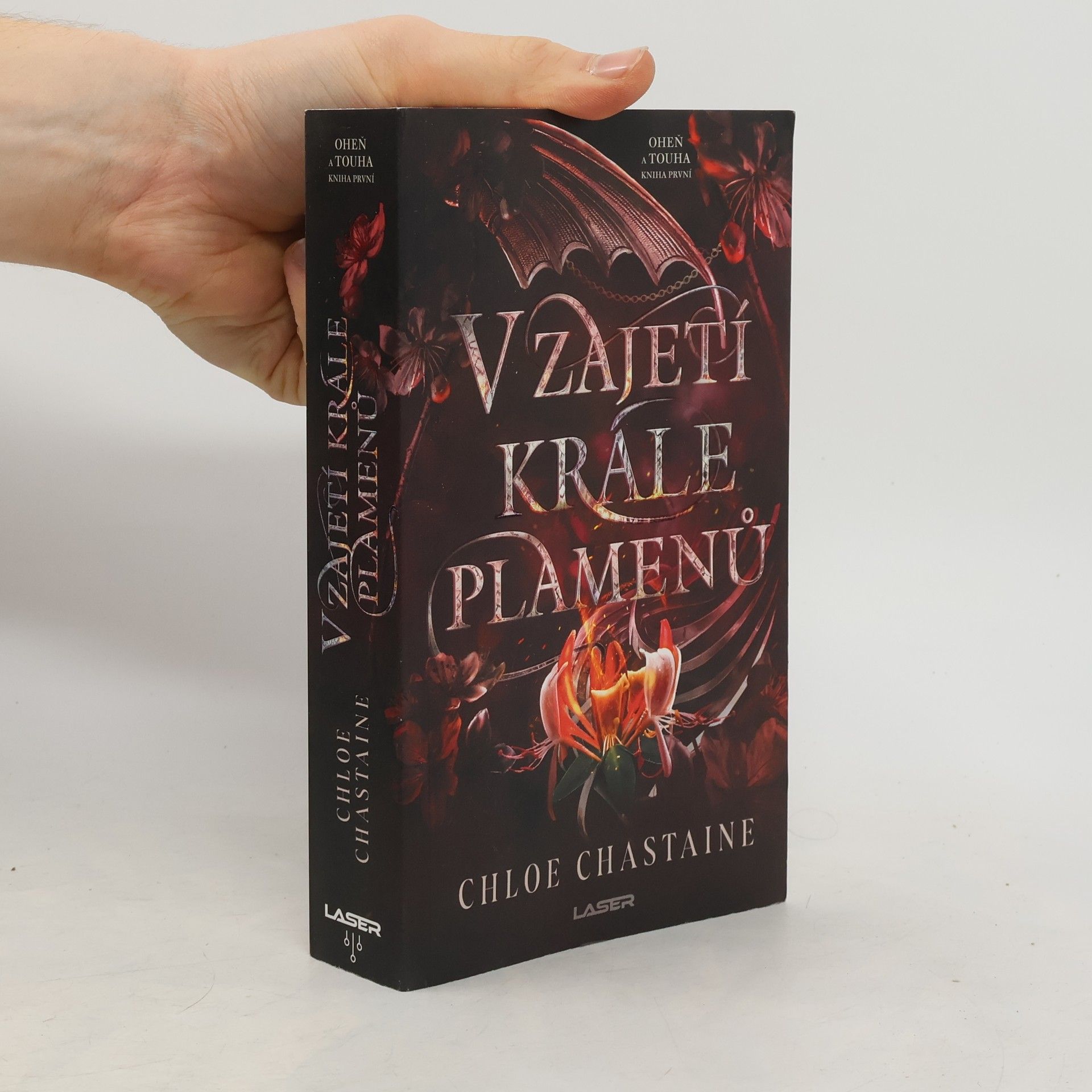 V zajetí krále plamenů