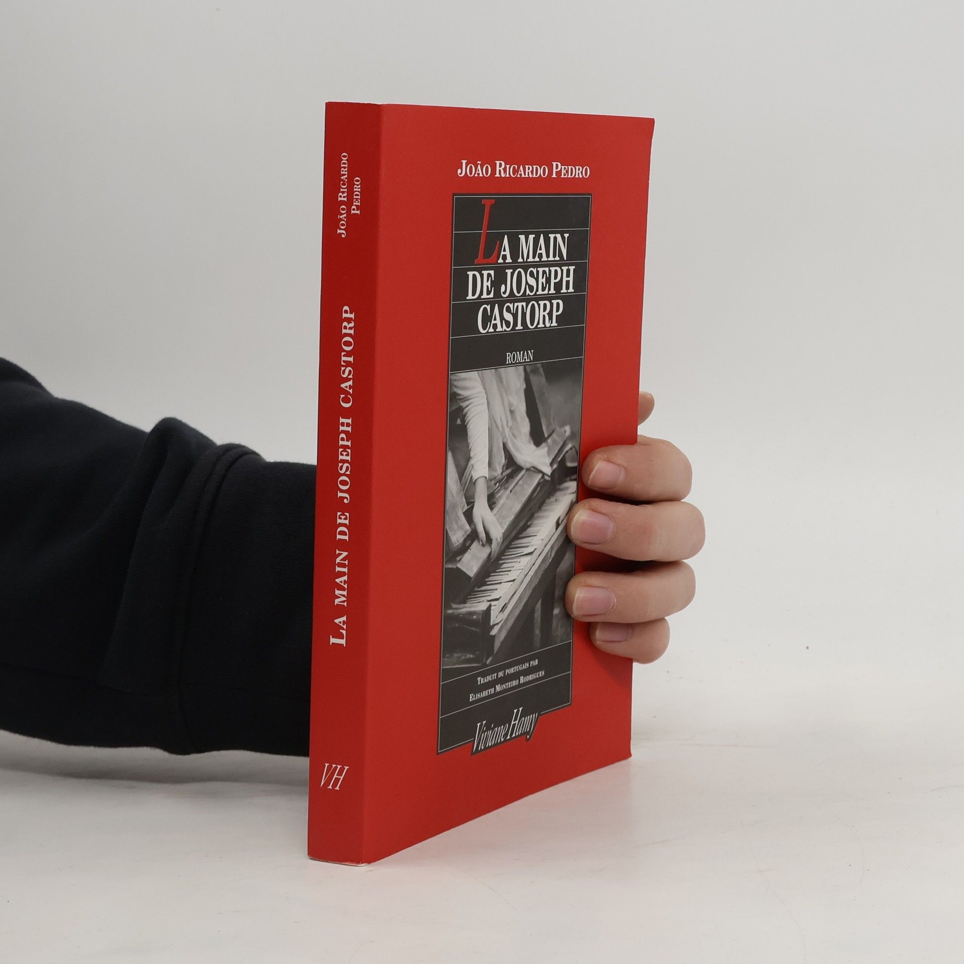 João Ricardo Pedro La main de Joseph Castorp