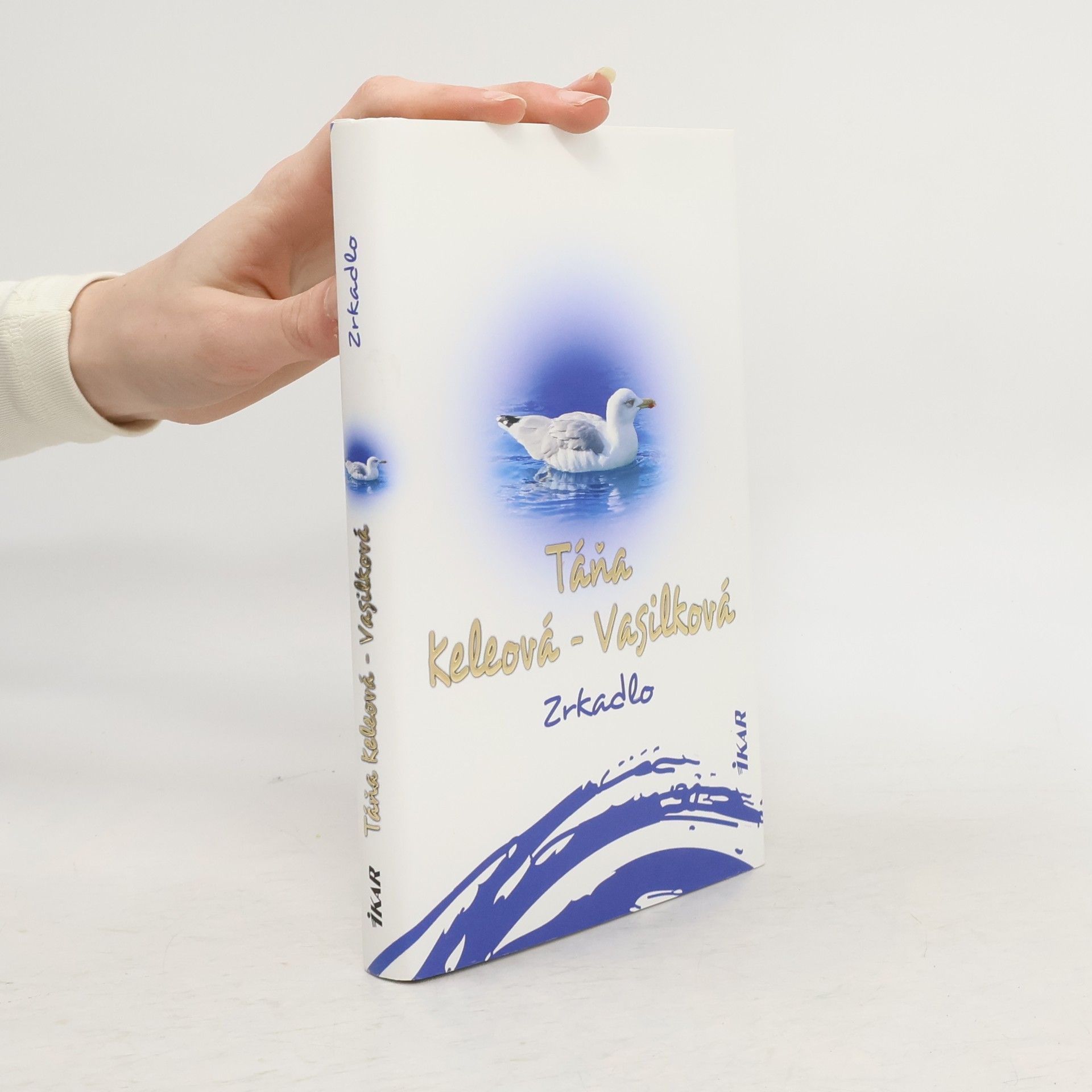 Táňa Keleová Vasilková Zrkadlo