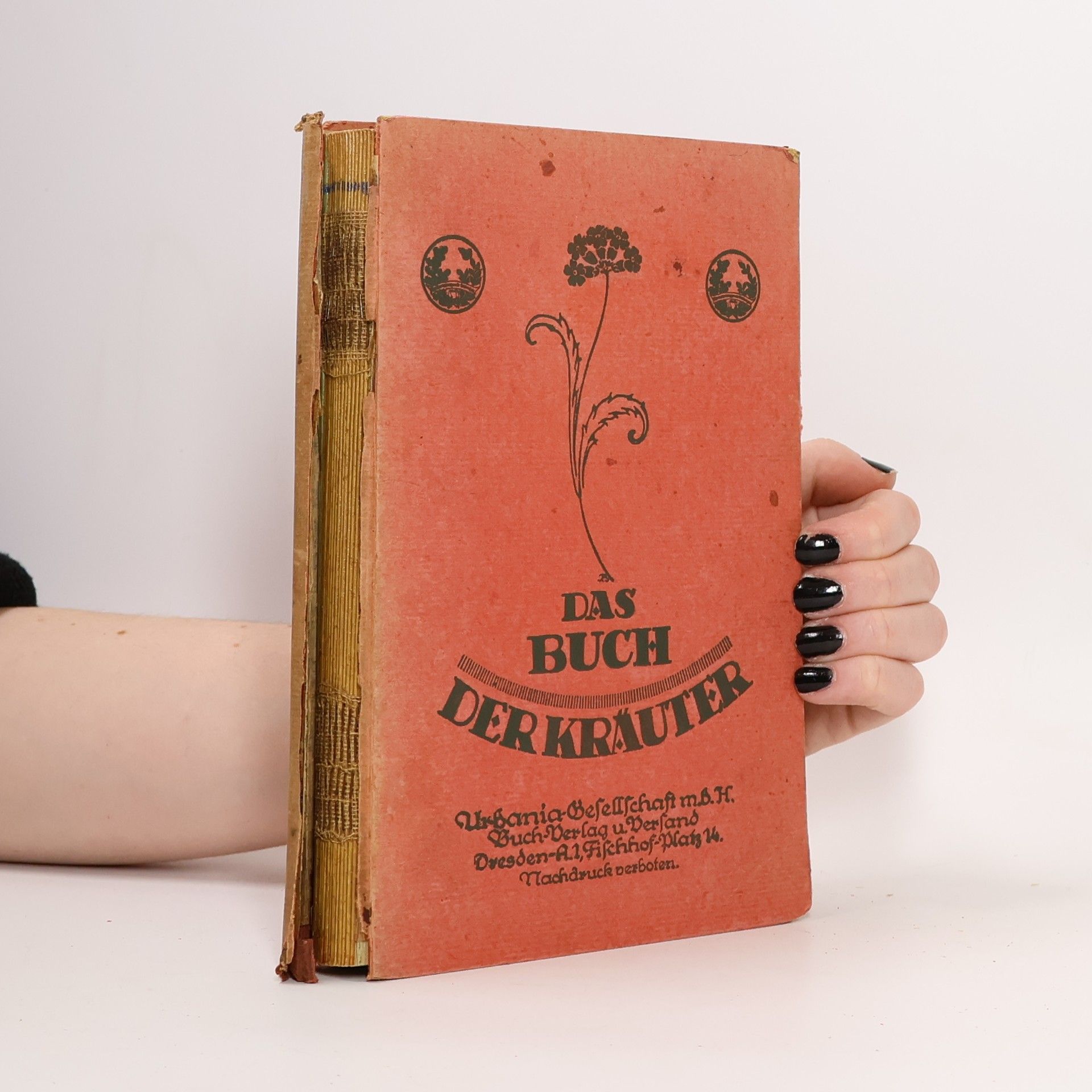 AA.VV. Das Buch der Kräuter