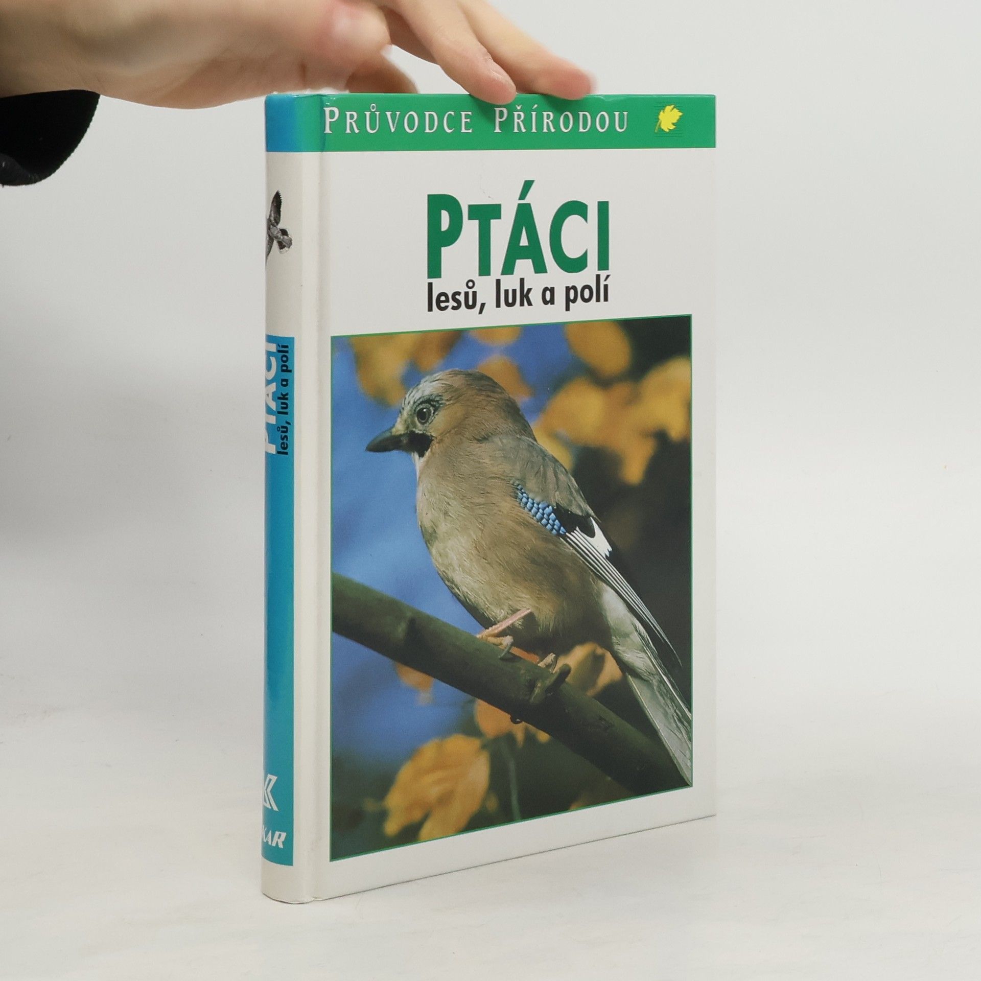 Sauer Frieder Ptáci lesů, luk a polí