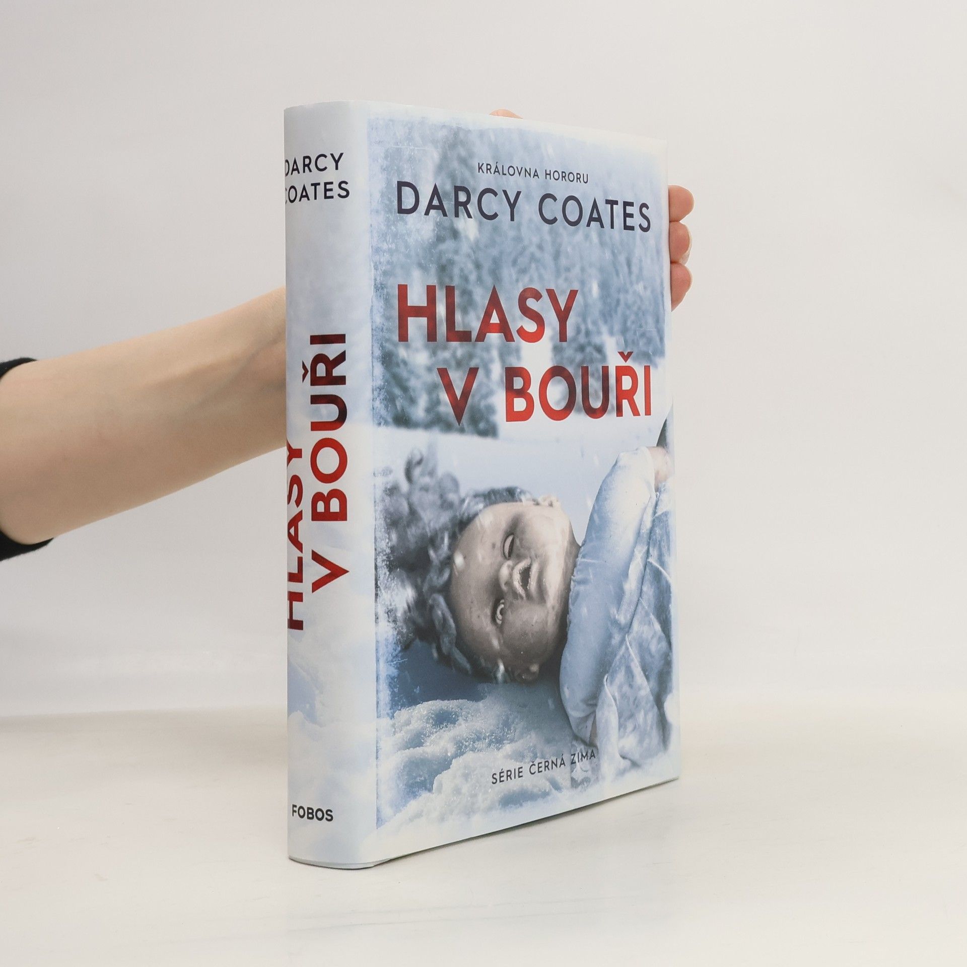 Darcy Coates Hlasy v bouři