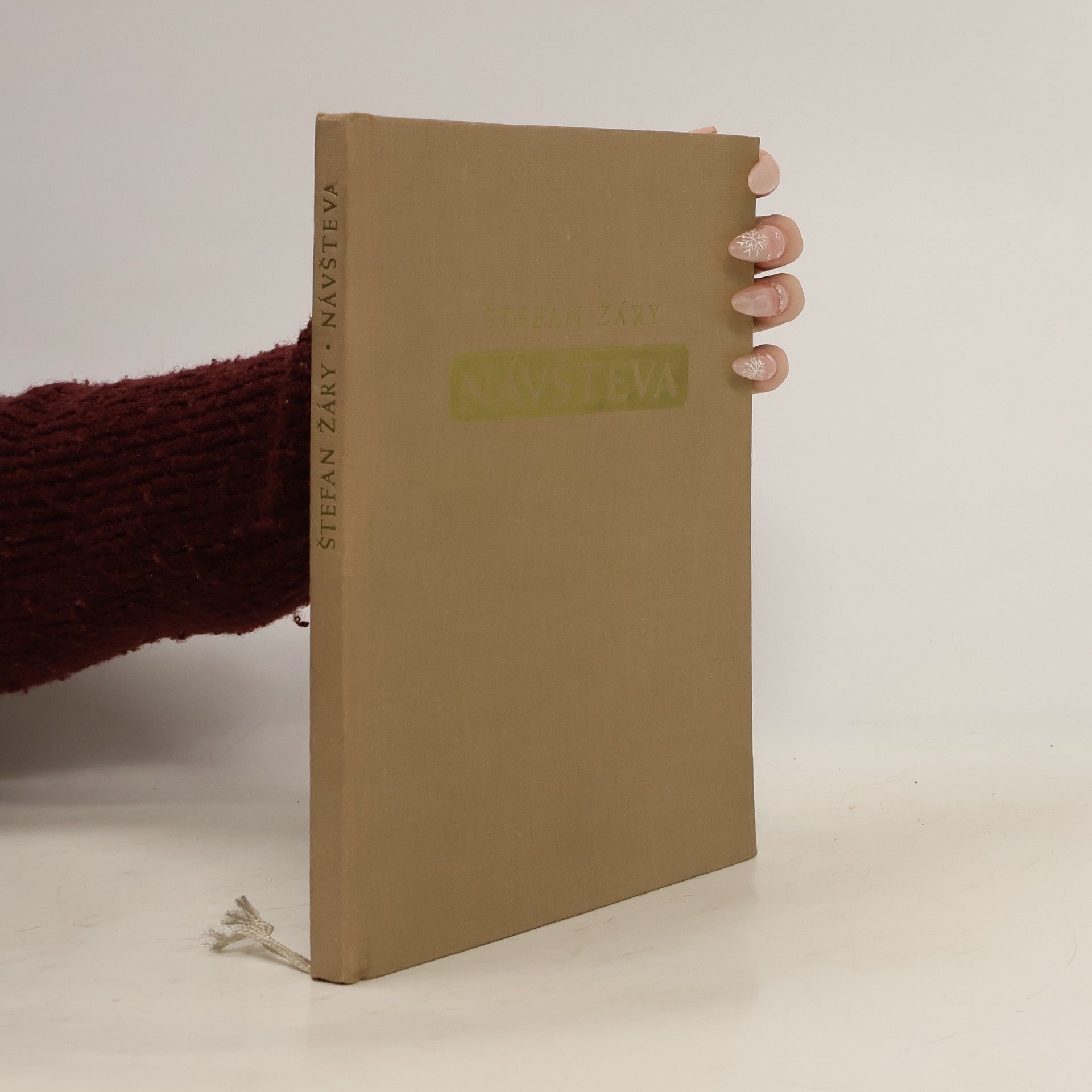 Štefan Žáry Návšteva