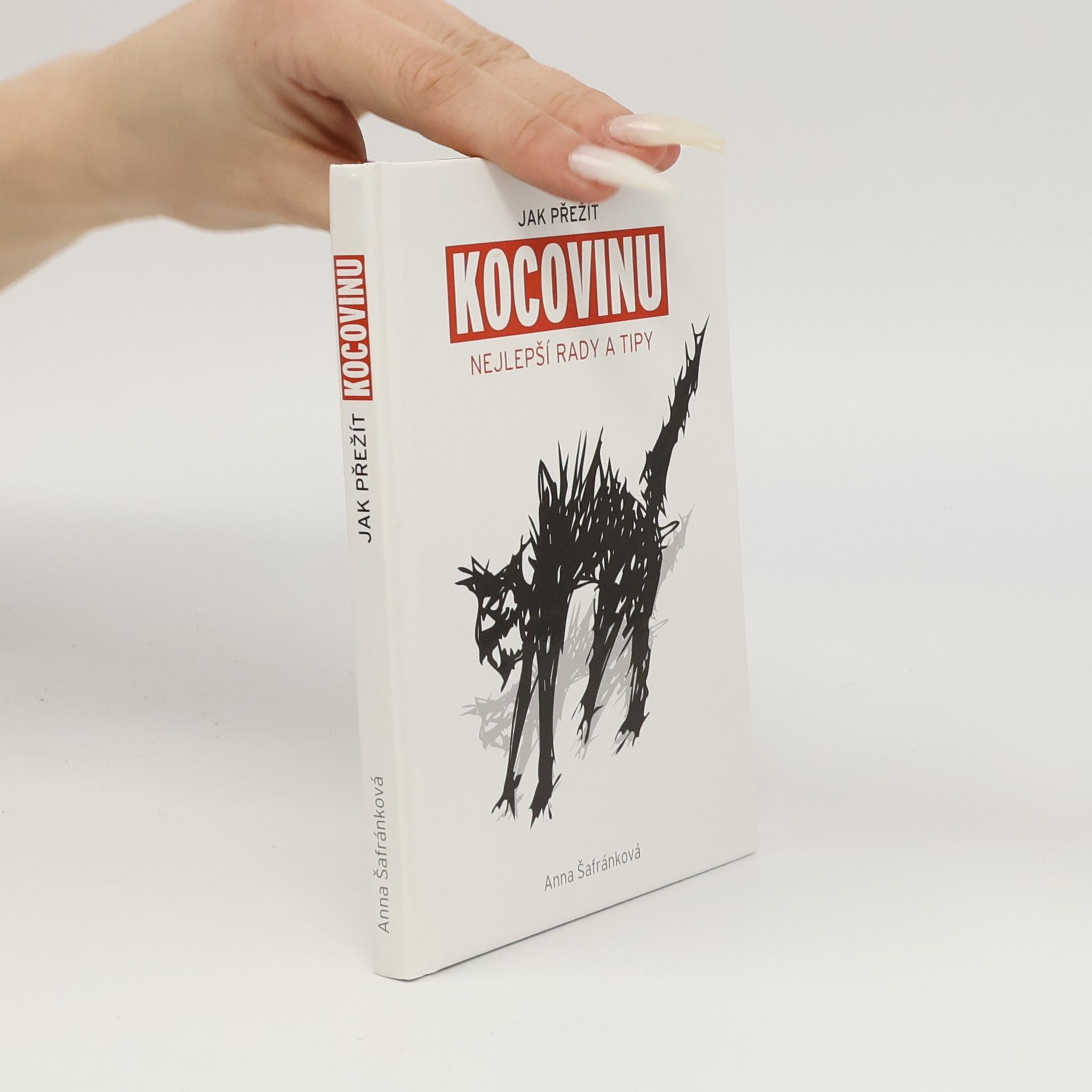 Anna Šafránková Jak přežít kocovinu: Nejlepší rady a tipy