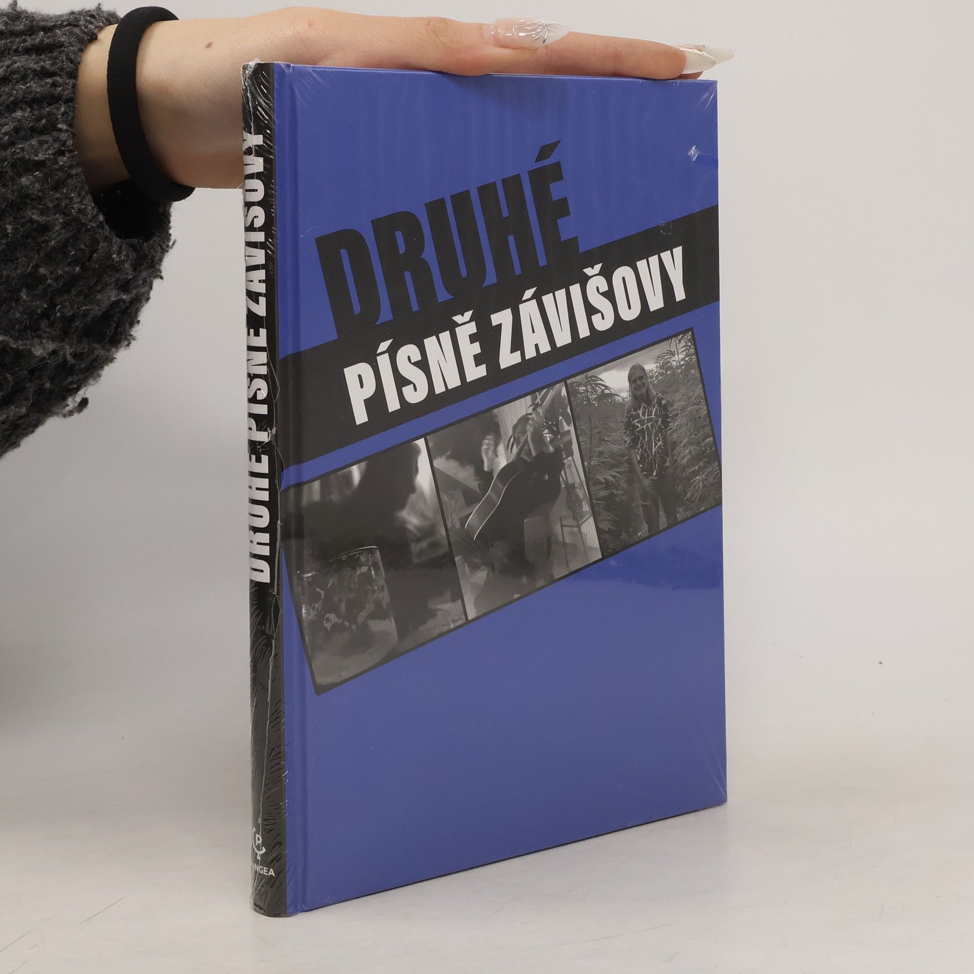 Druhé písně Závišovy