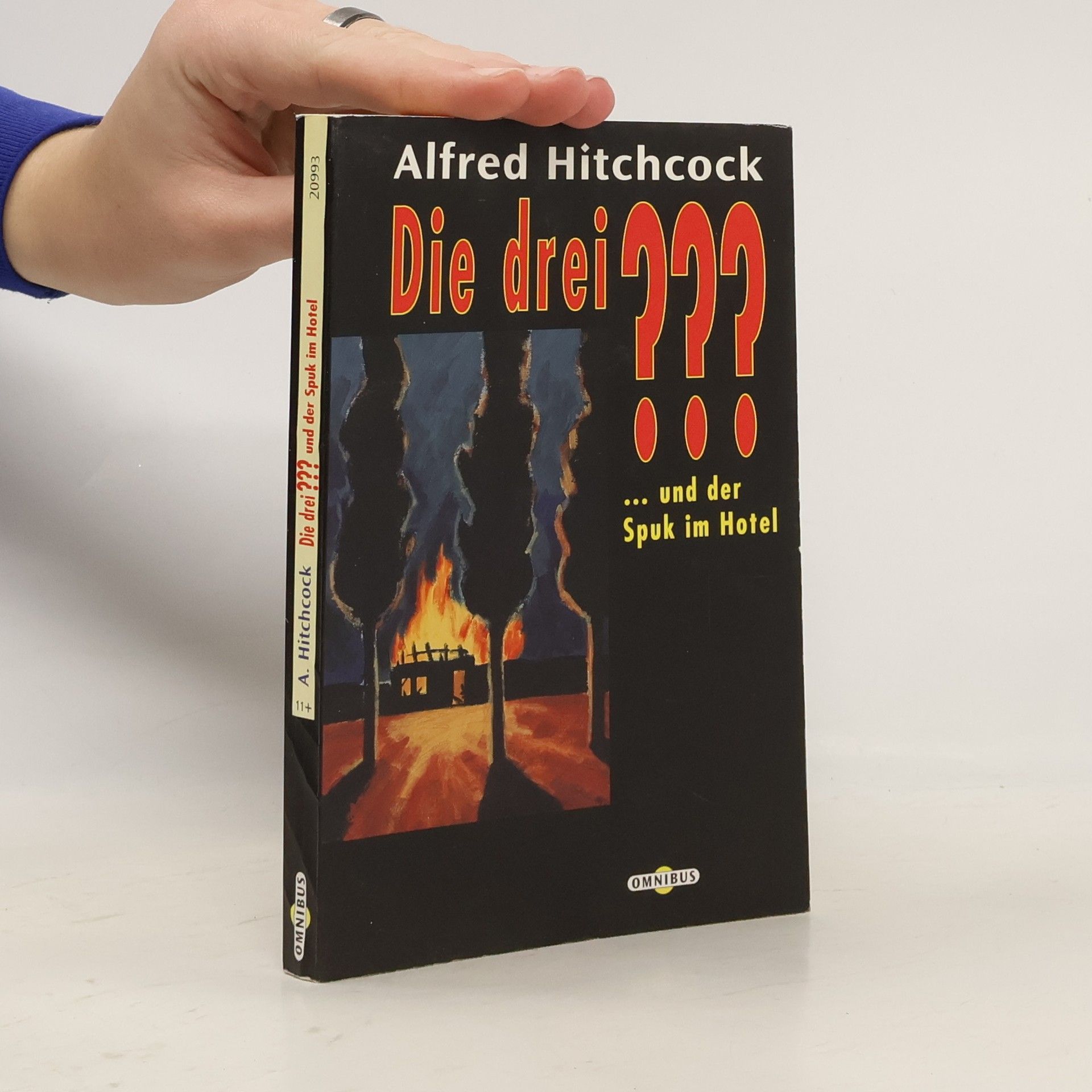 Die drei ??? und der Spuk im Hotel