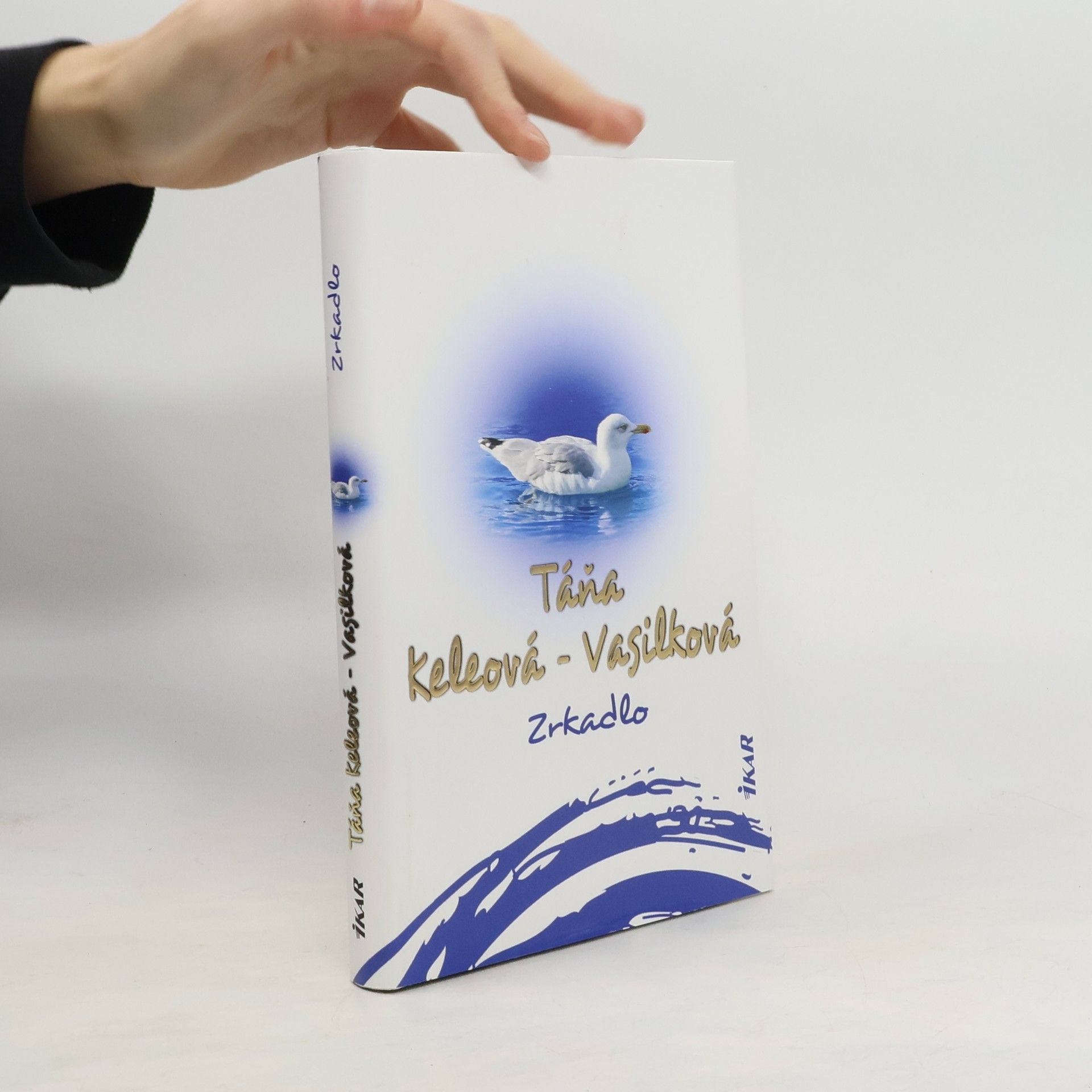 Táňa Keleová-Vasilková Zrkadlo