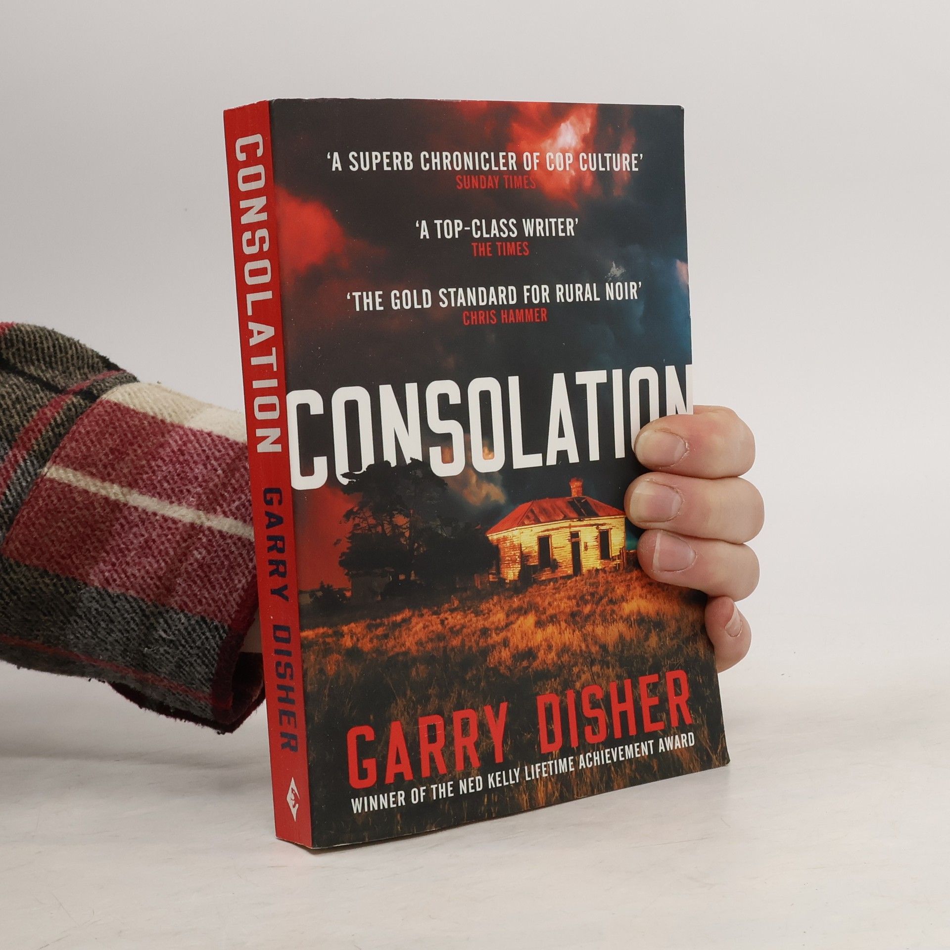 Garry Disher Consolation