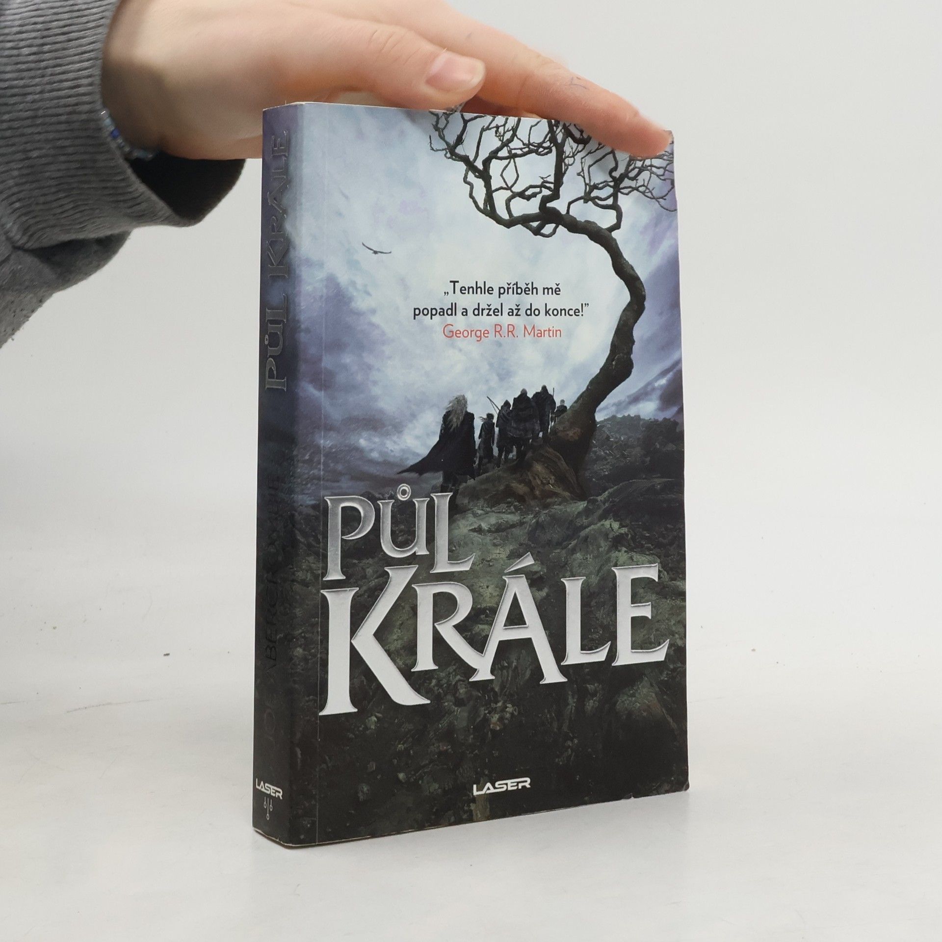 Joe Abercrombie Půl krále