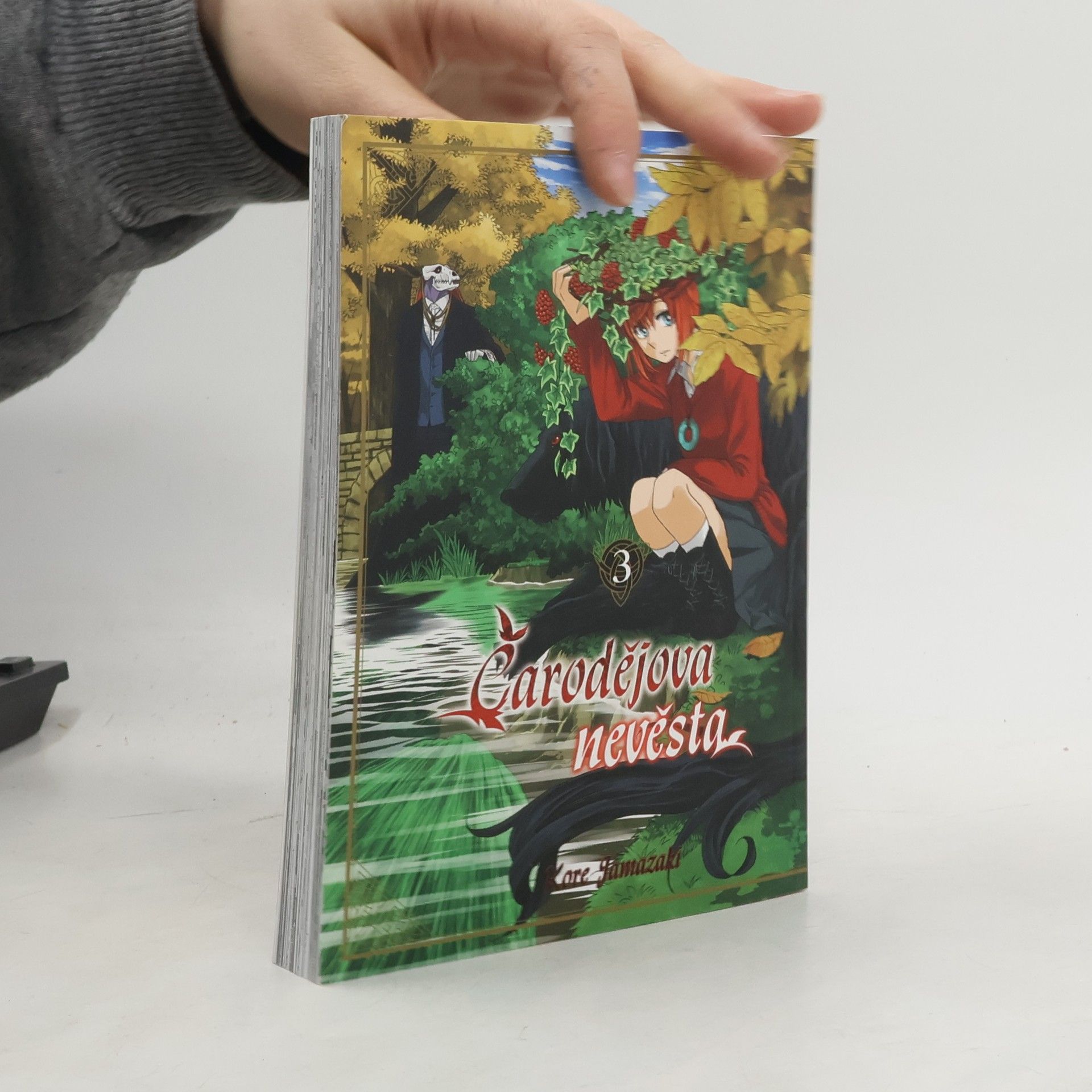 Kore Jamazaki Čarodějova nevěsta 3