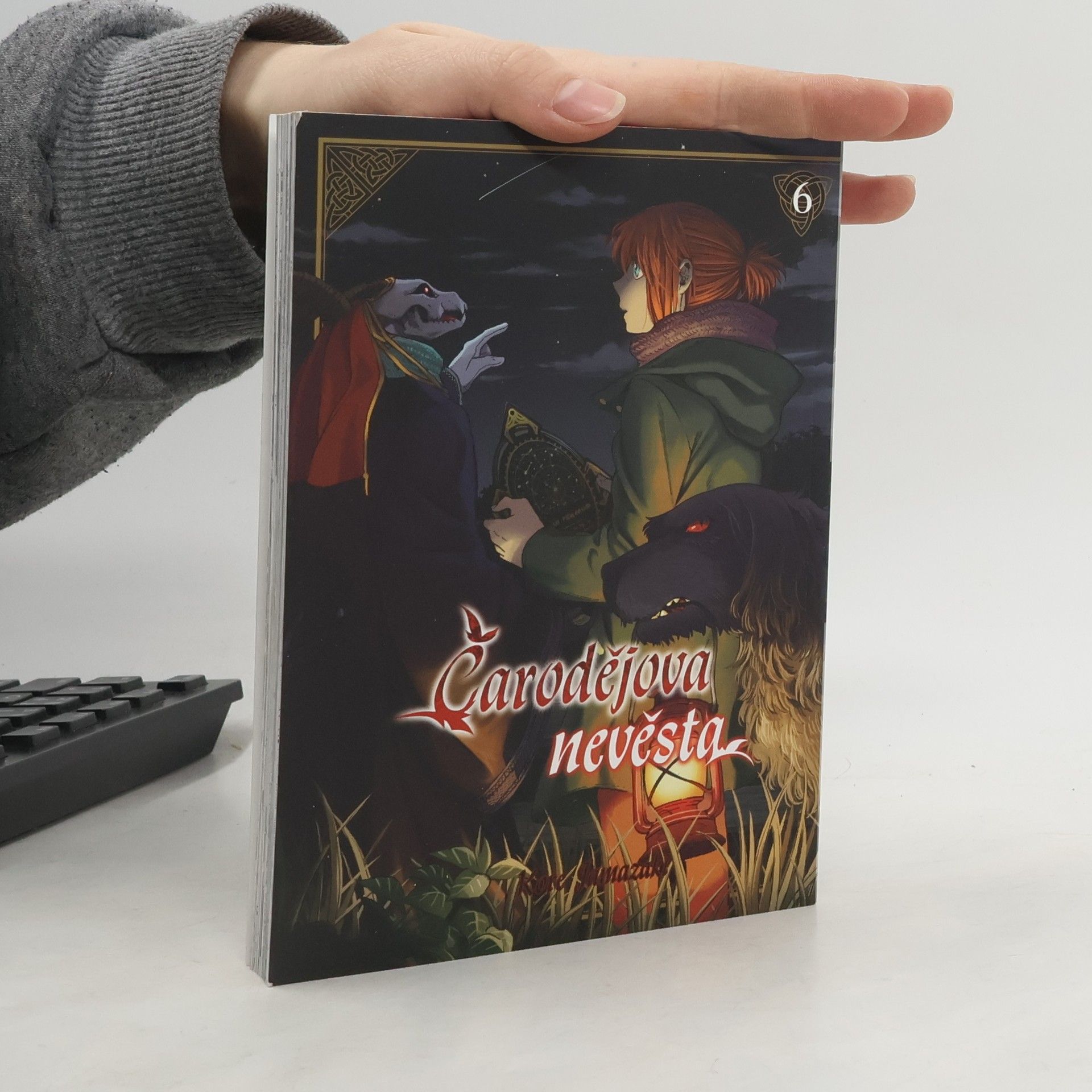 Kore Jamazaki Čarodějova nevěsta 6