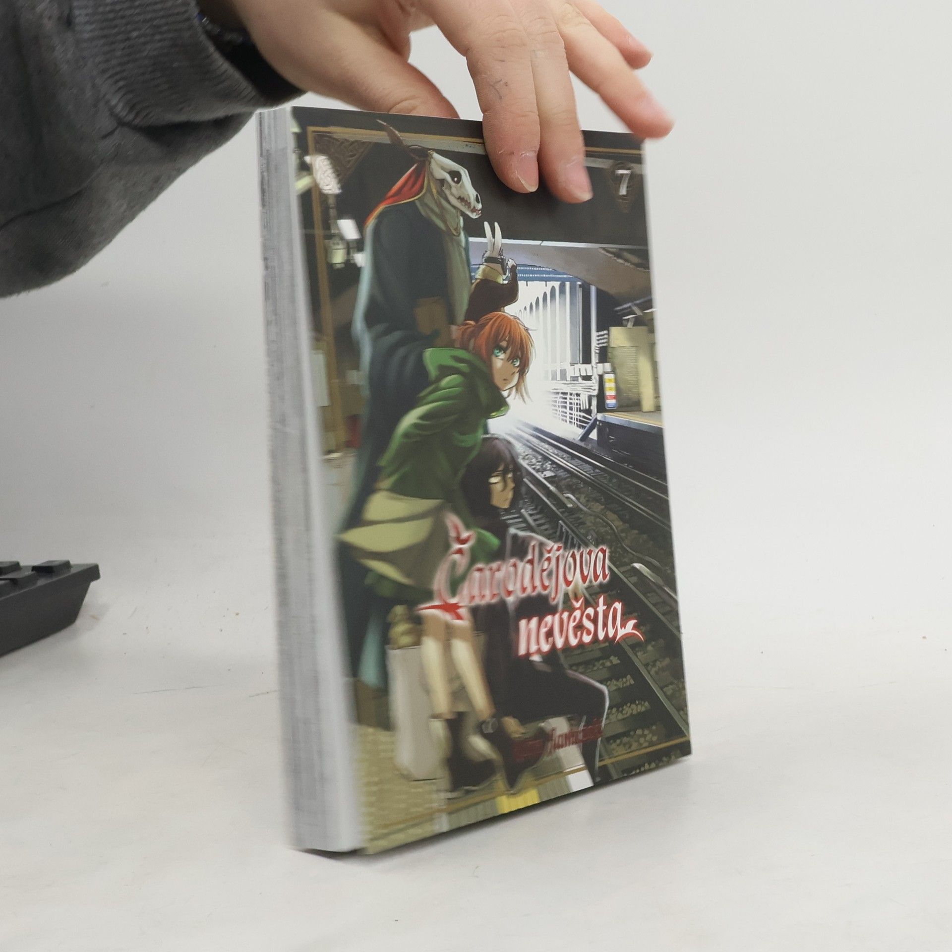 Čarodějova nevěsta 7