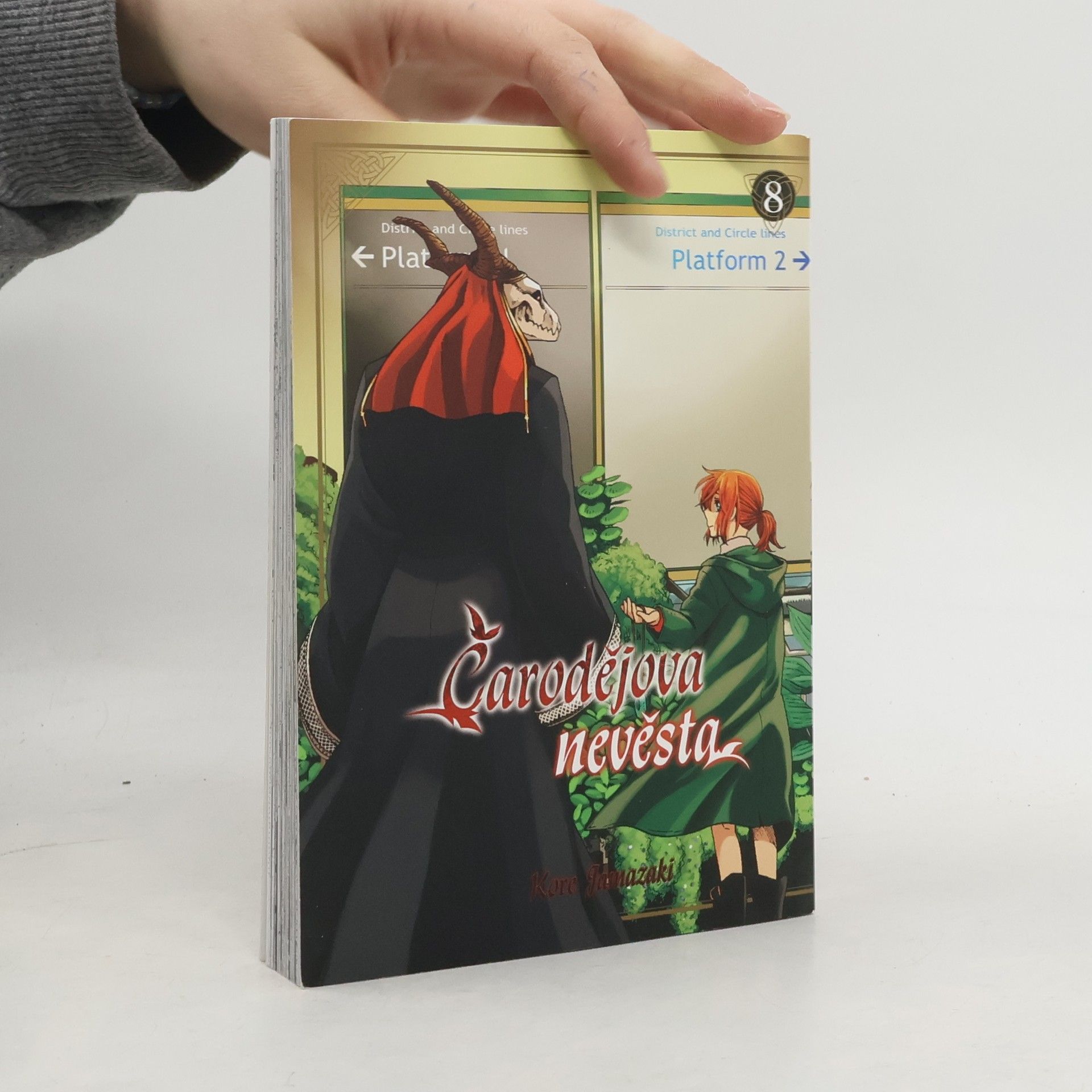 Kore Jamazaki Čarodějova nevěsta 8