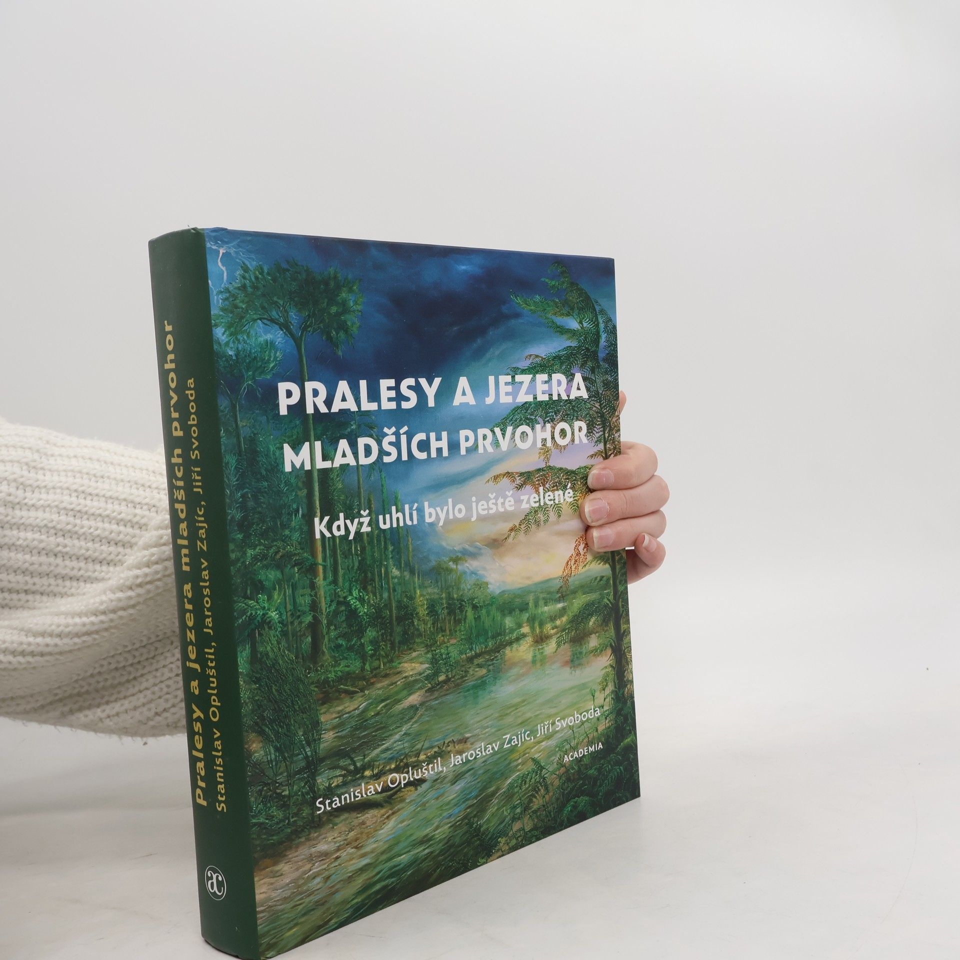 Pralesy a jezera mladších prvohor: Když uhlí bylo ještě zelené