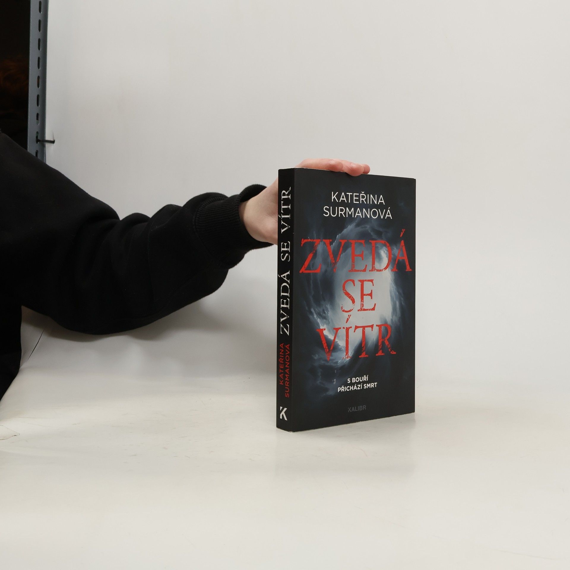 Kateřina Surmanová Zvedá se vítr
