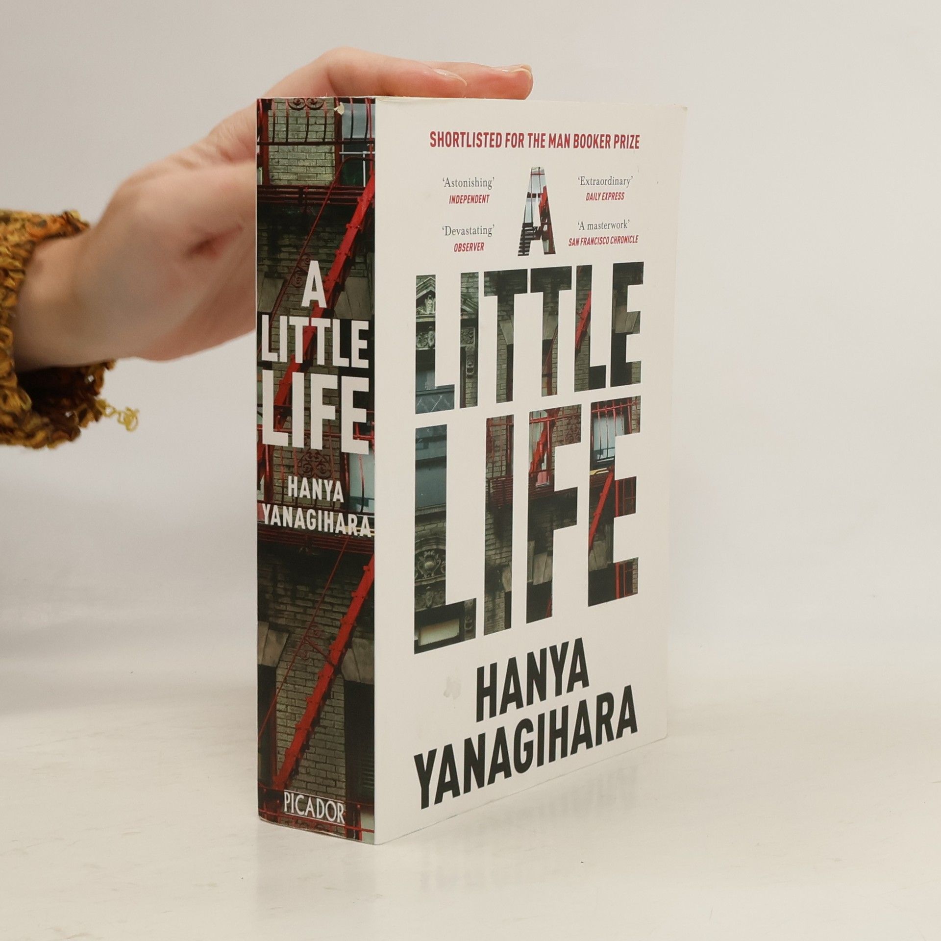 Hanya Yanagihara A Little Life