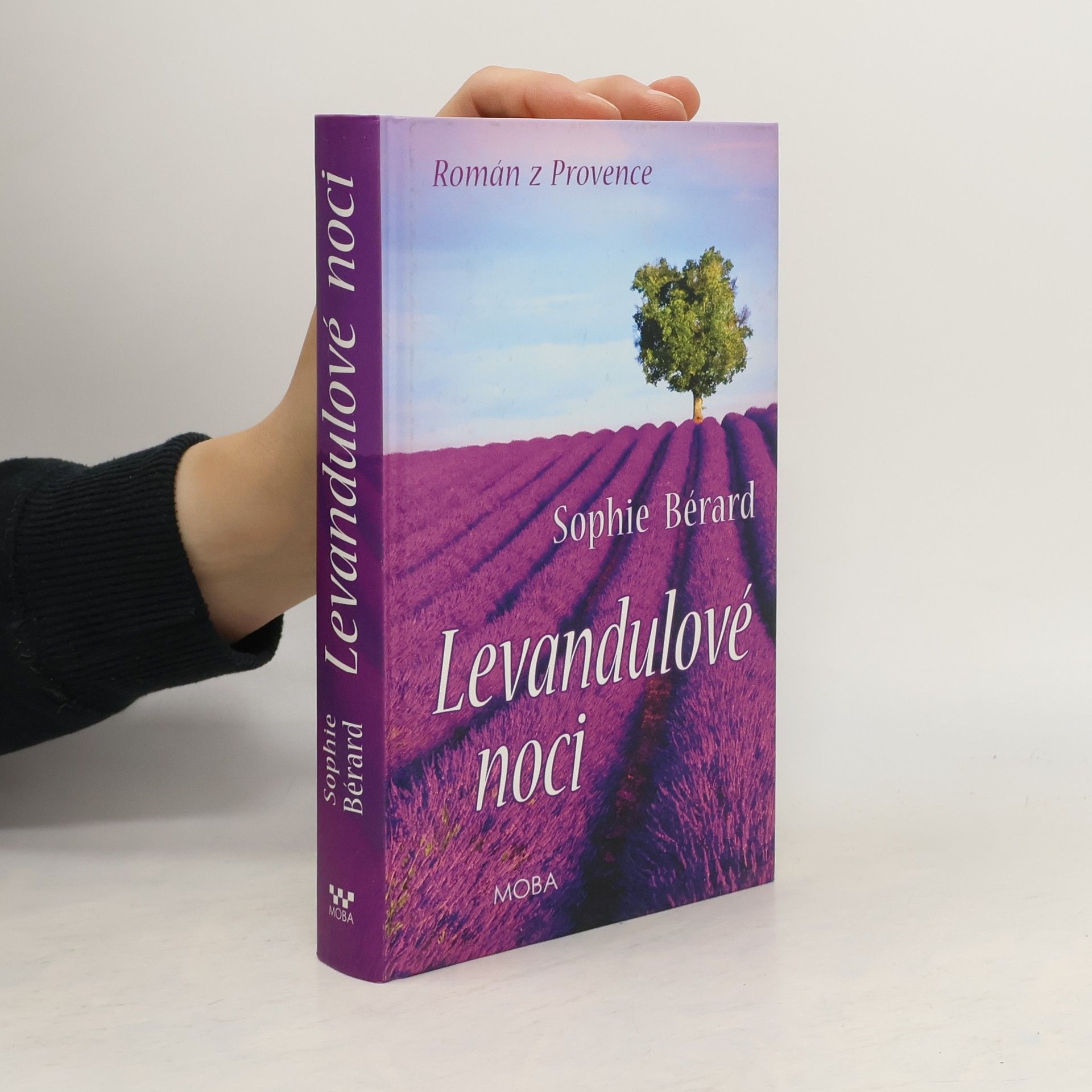 Kerstin Gier Levandulové noci. Román z Provence