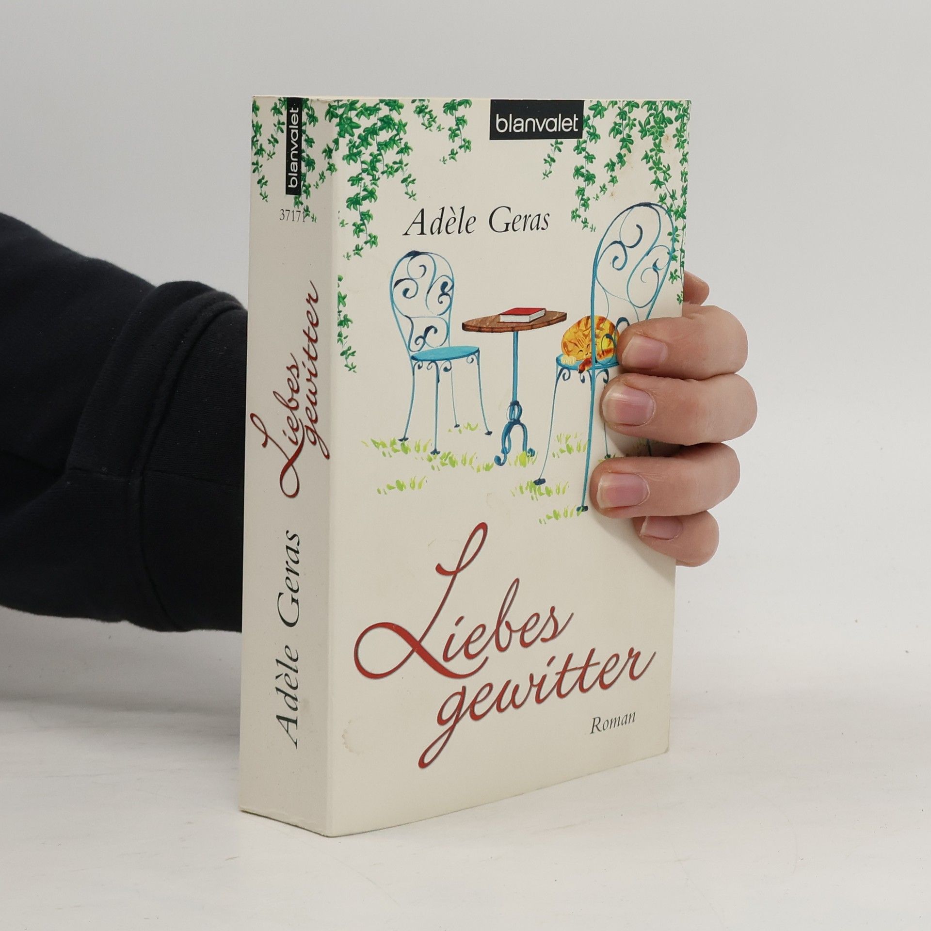 Adèle Geras Liebesgewitter. Roman