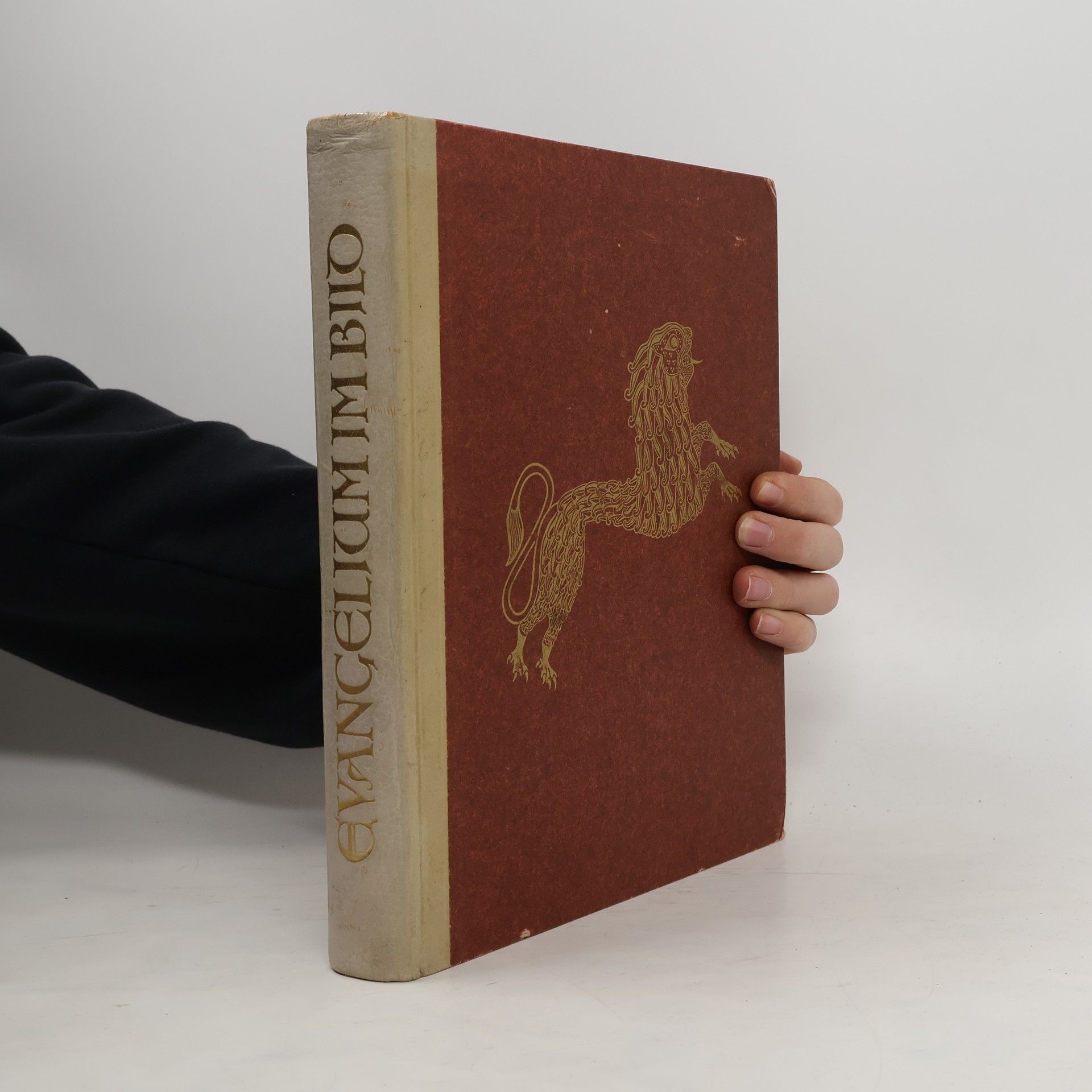 Auteurscollectief Evangelium im Bild