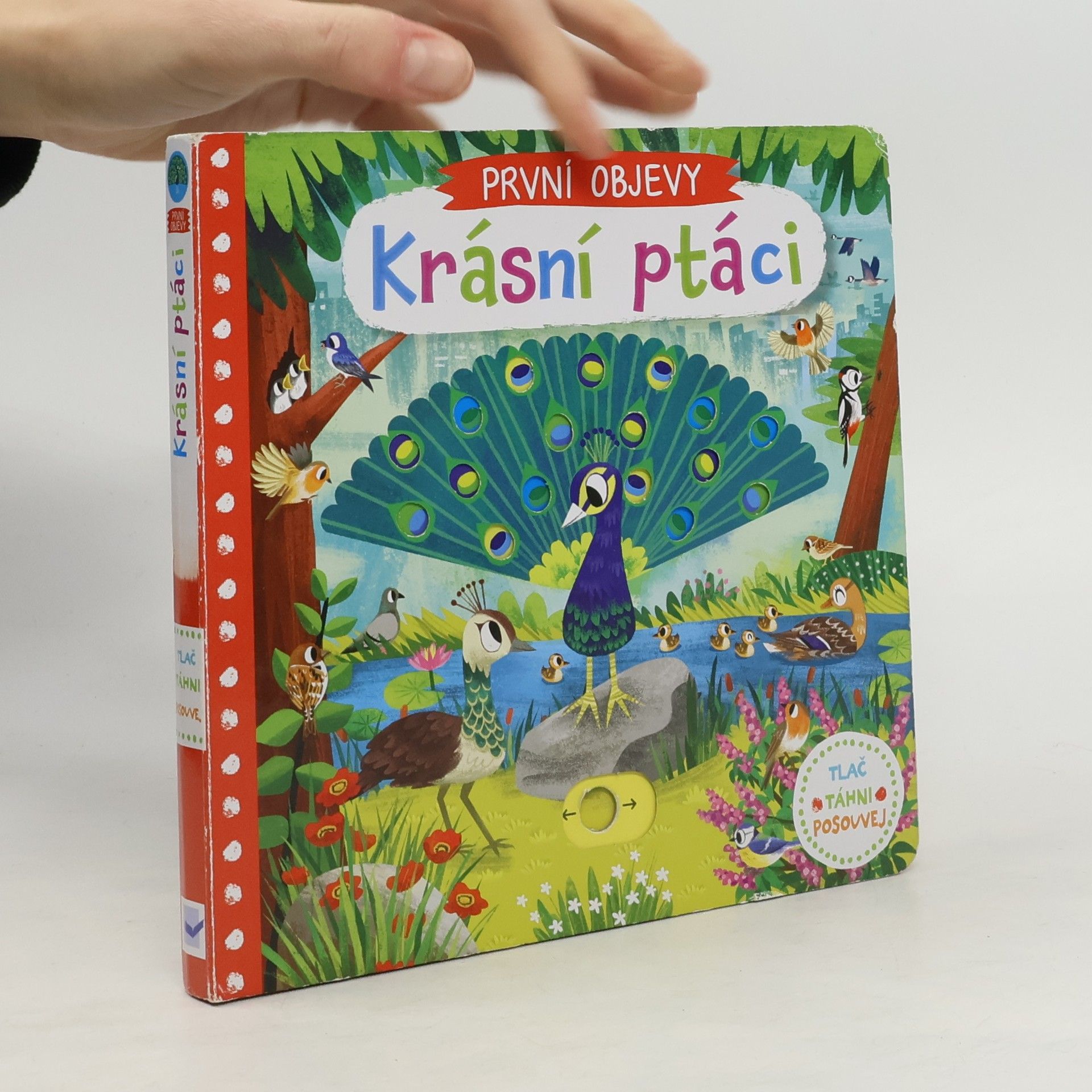 Chorkung První objevy: Krásní ptáci