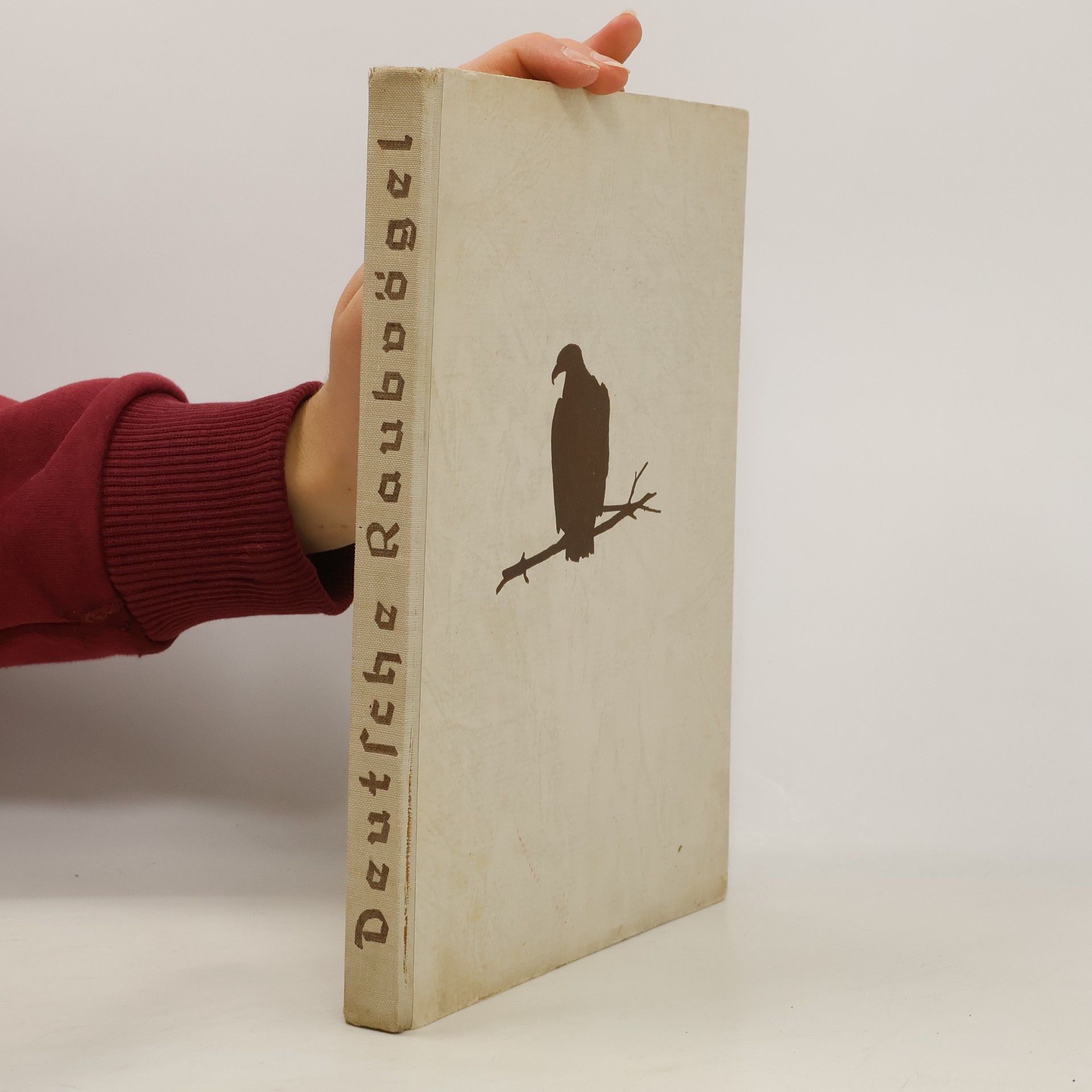 Walter Seger Deutsche Raubvögel