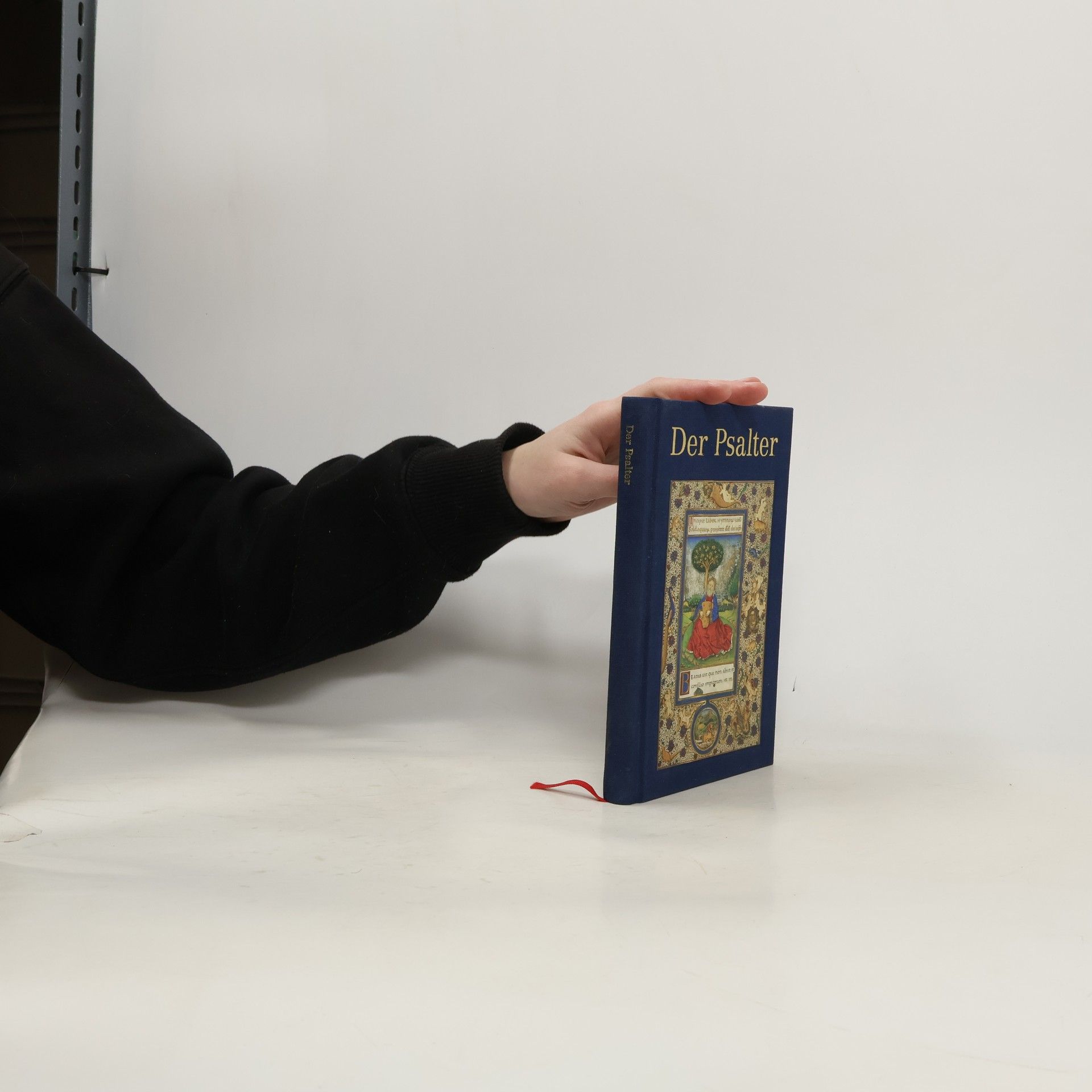 Autorenkollektiv Der Psalter