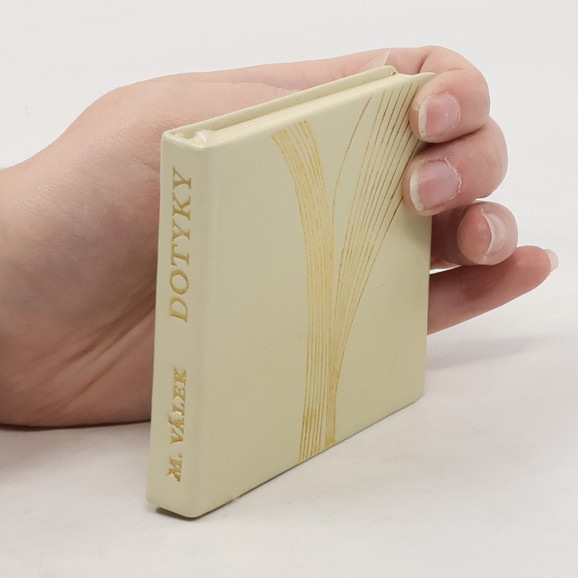 Miroslav Válek Dotyky