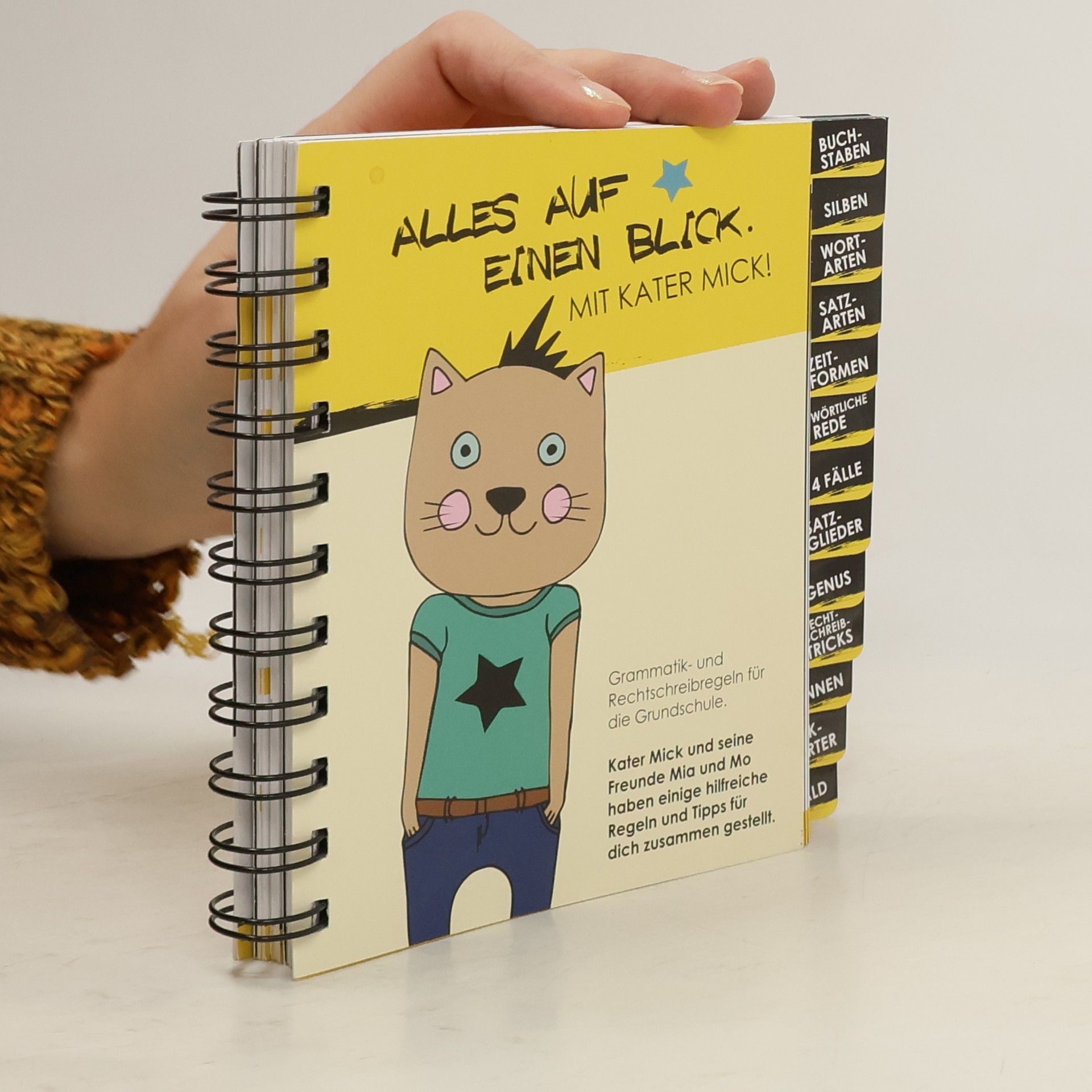 Kolektív autorov Alles auf einen Blick: Buchstaben, Silben, Wörter, Sätze, Grammatik und Rechtschreibregeln für die Grundschule