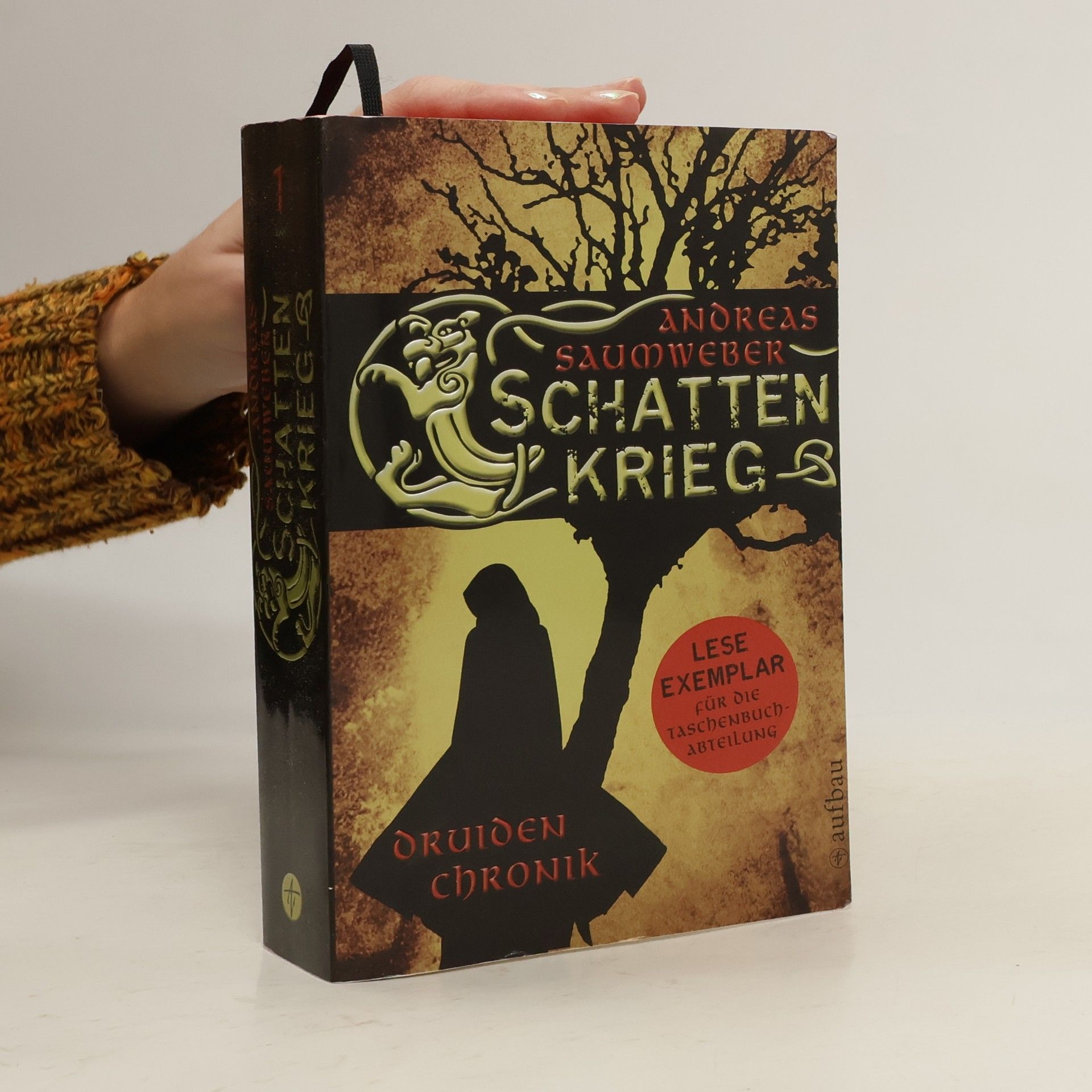 Druidenchronik Band 1: Schatten krieg