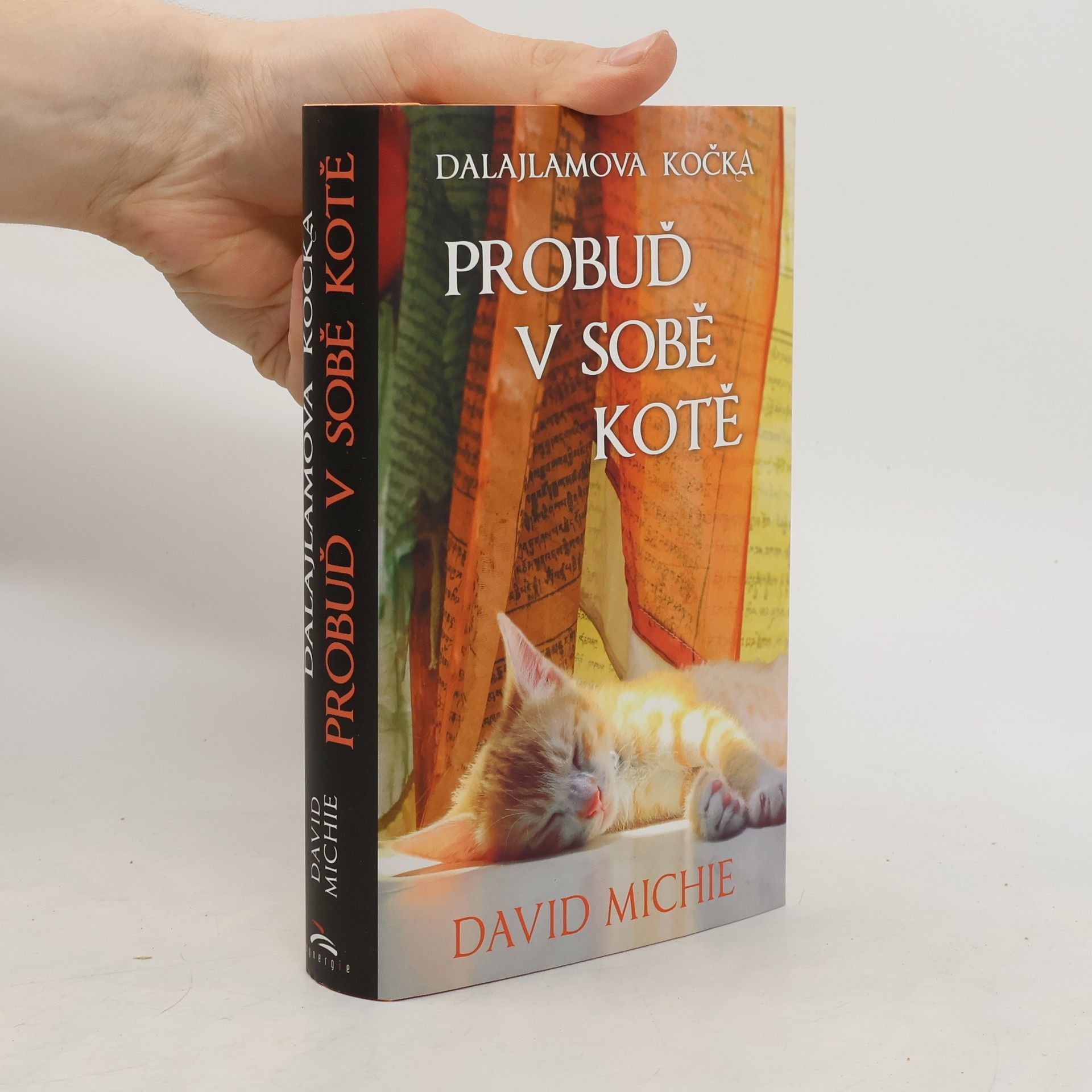 Dalajlamova kočka - probuď v sobě kotě
