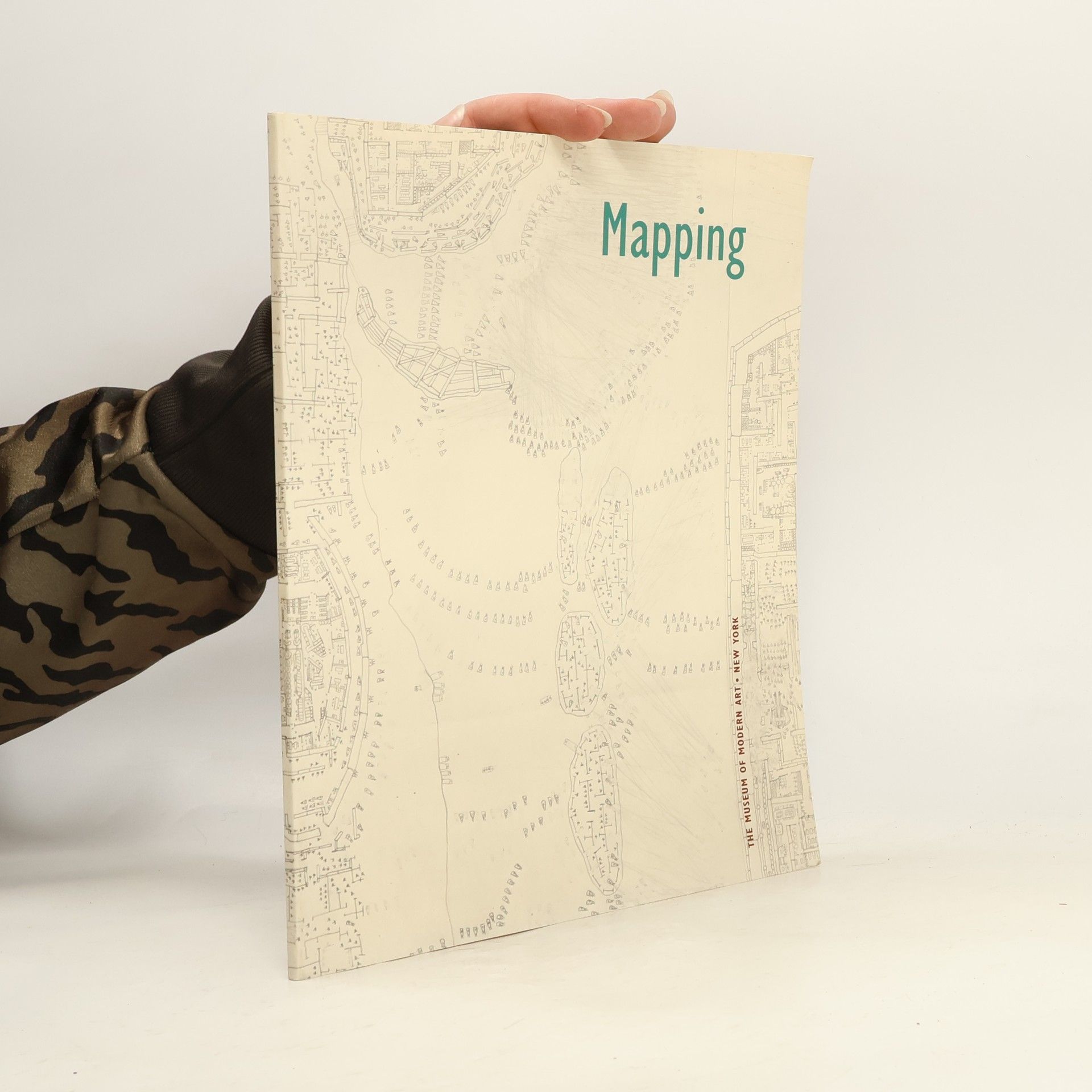 Robert Storr Mapping