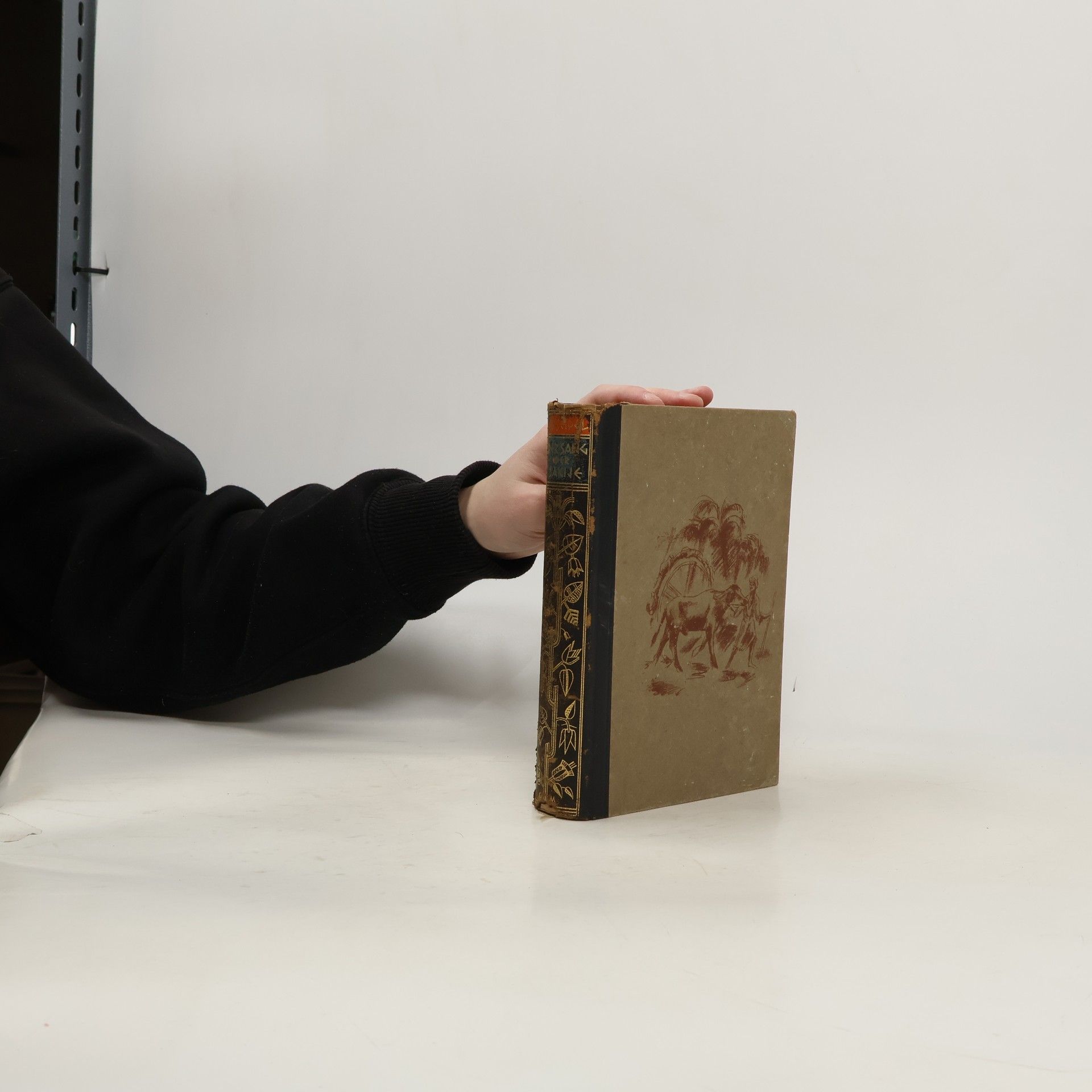 Willi Seidel Der Sang der Sakije