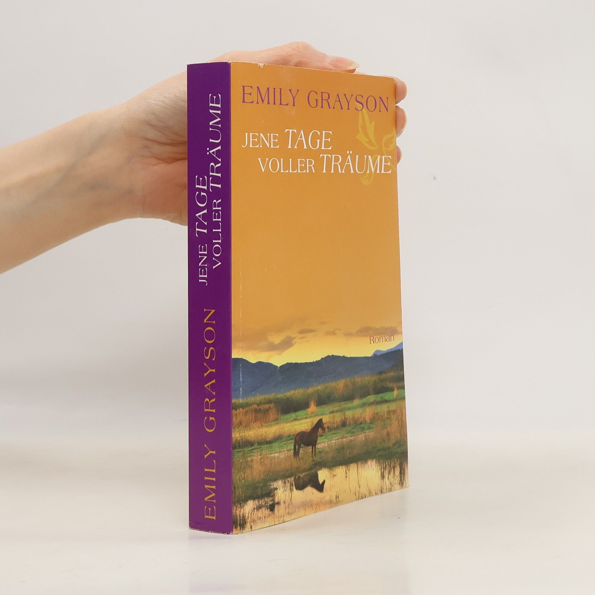 Emily Grayson Jene Tage voller Träume