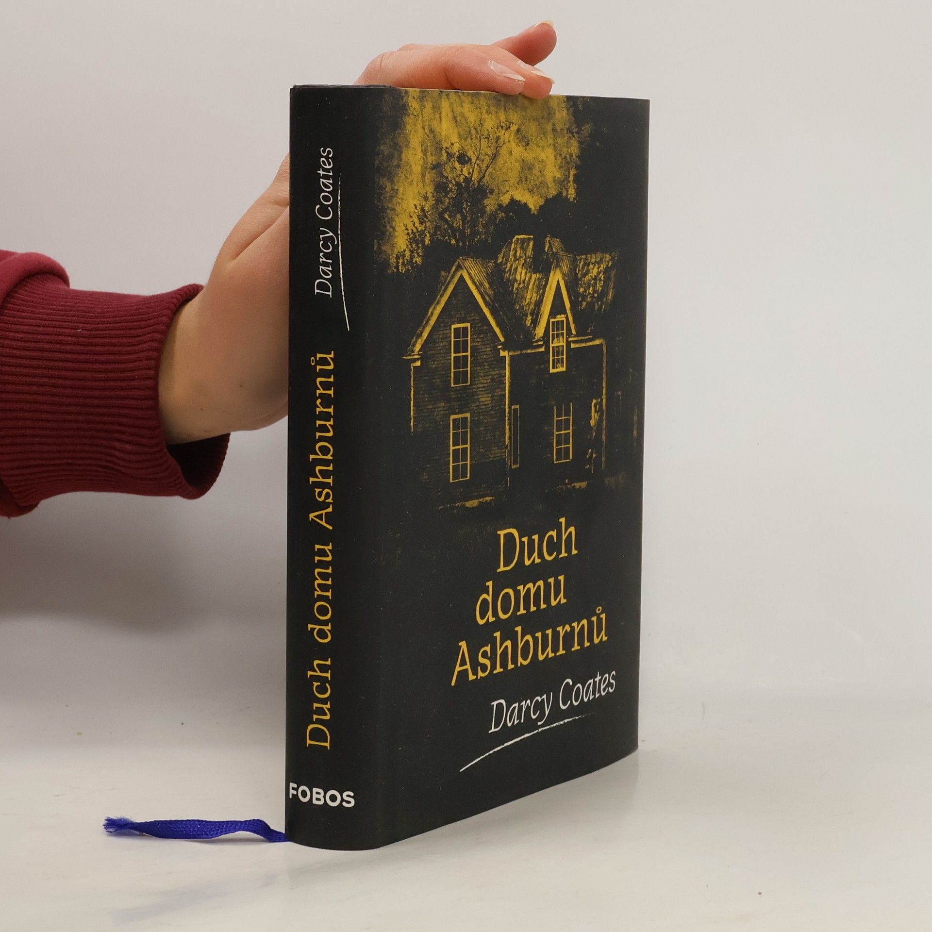 Darcy Coates Duch domu Ashburnů