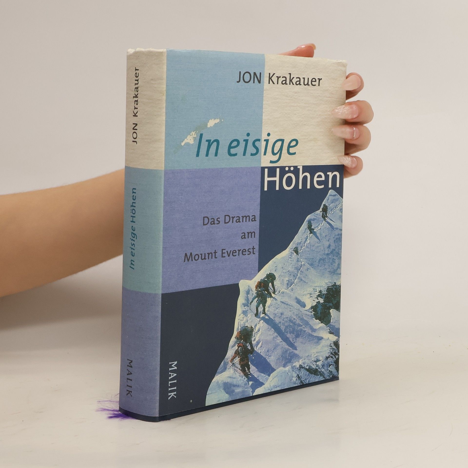 Jon Krakauer In eisige Höhen