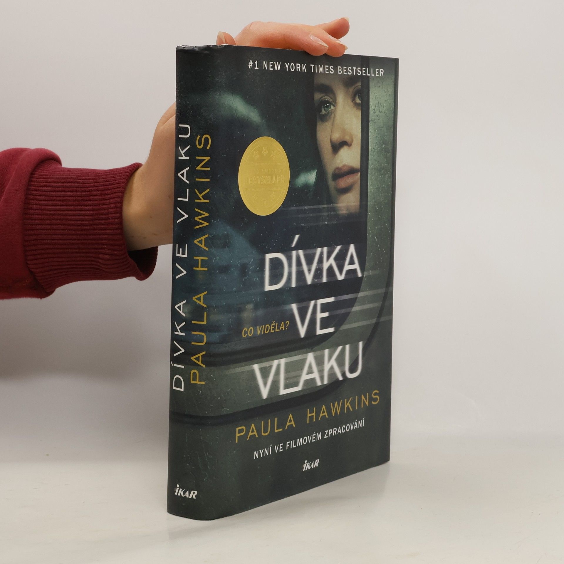Dívka ve vlaku