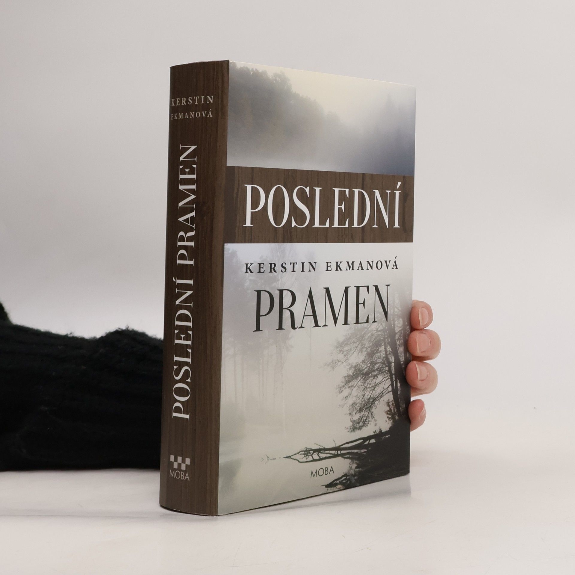 Kerstin Ekman Poslední pramen