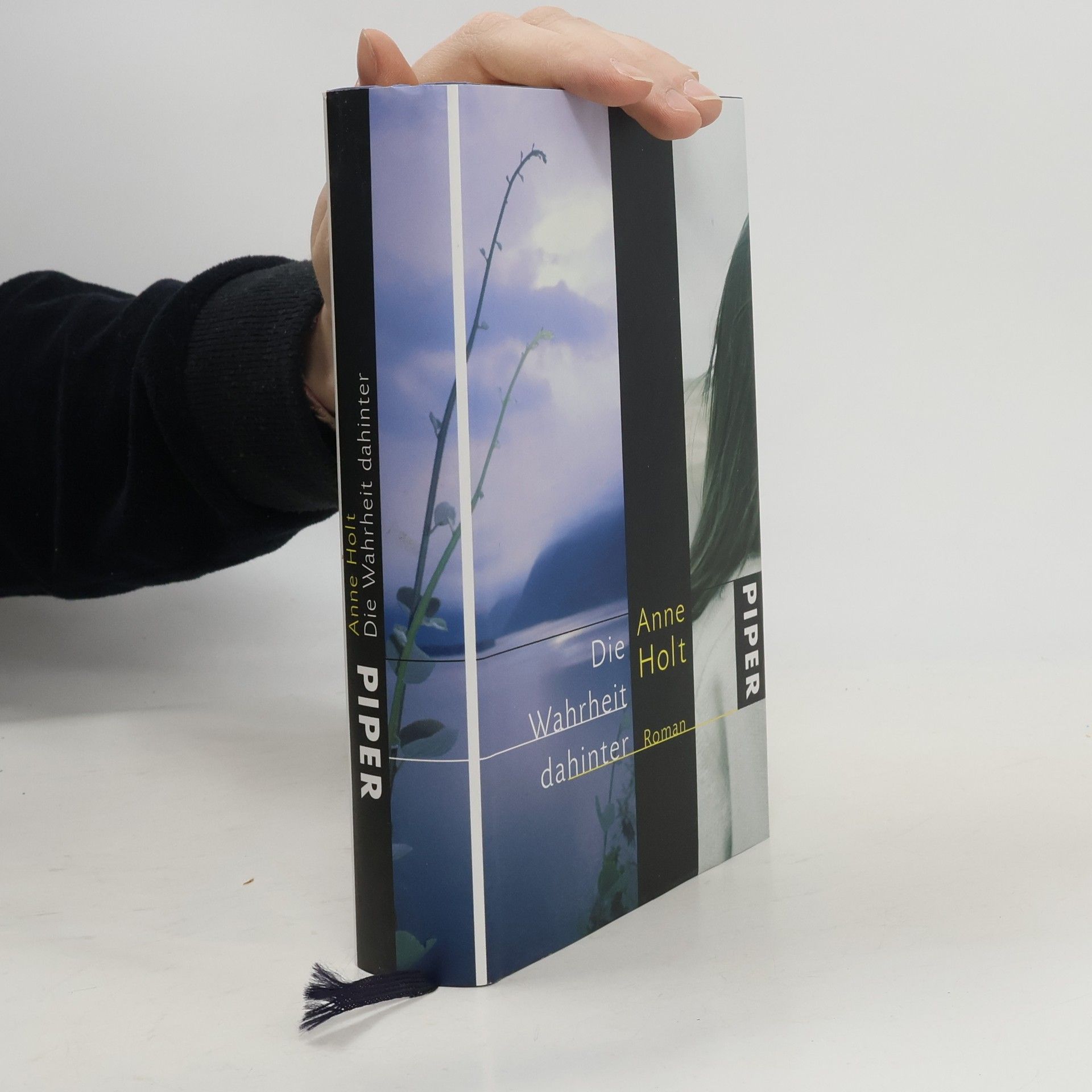 Anne Holt Die Wahrheit dahinter